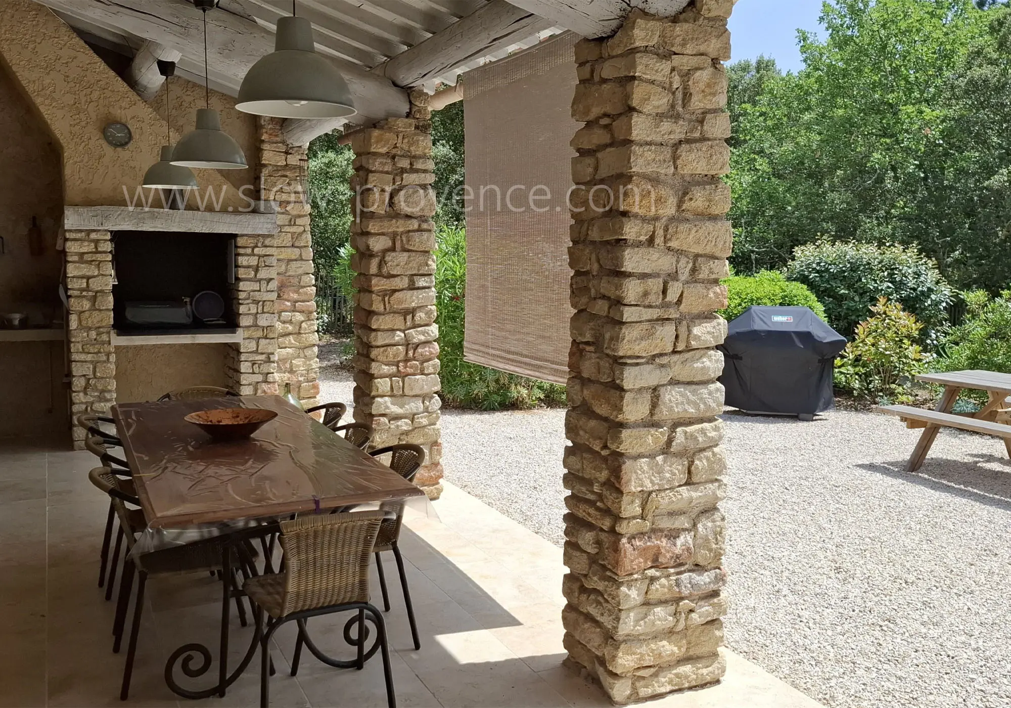 Plancha électrique et barbecue à gaz