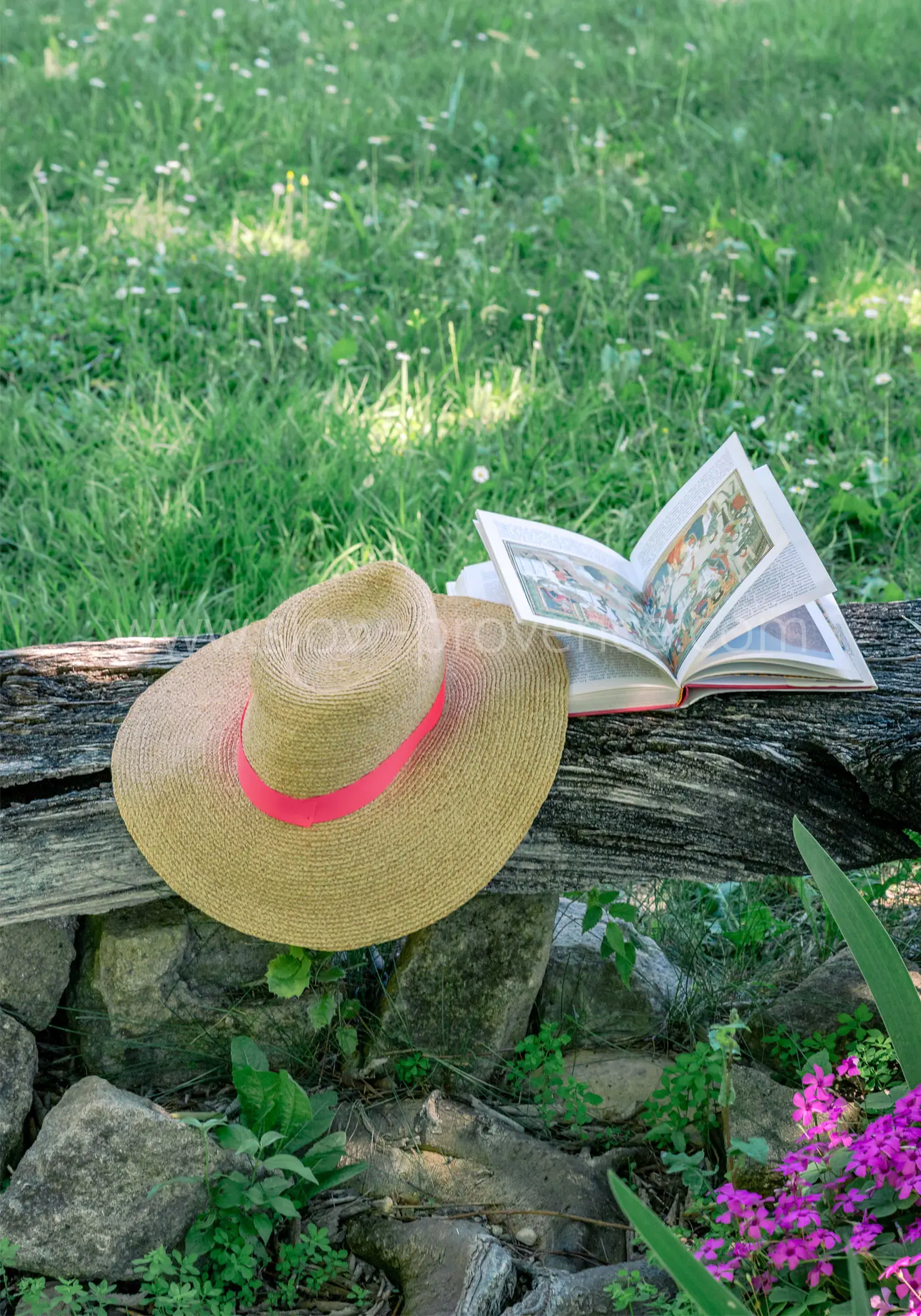 For a relaxing holiday in Provence