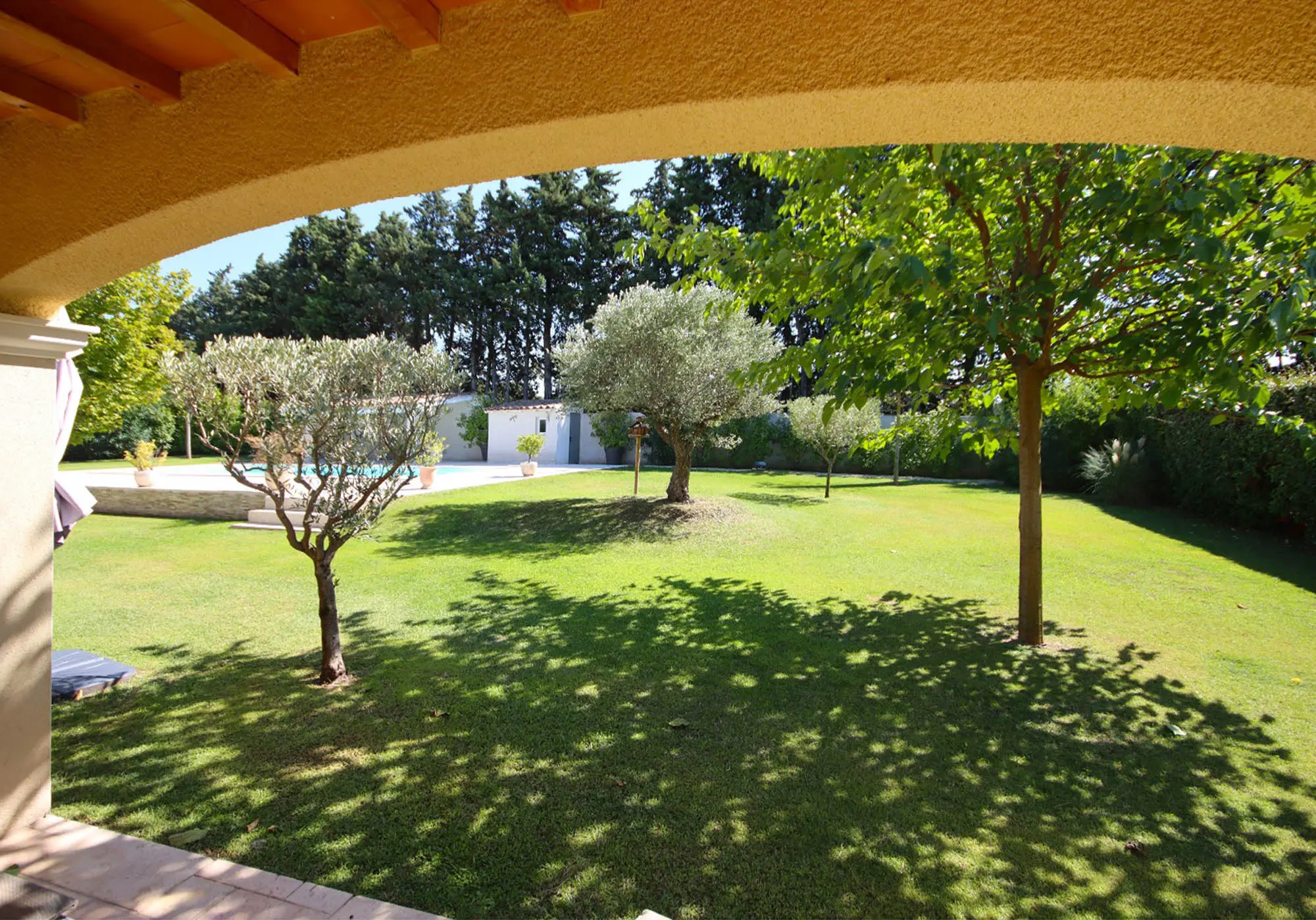 Large, fully fenced garden