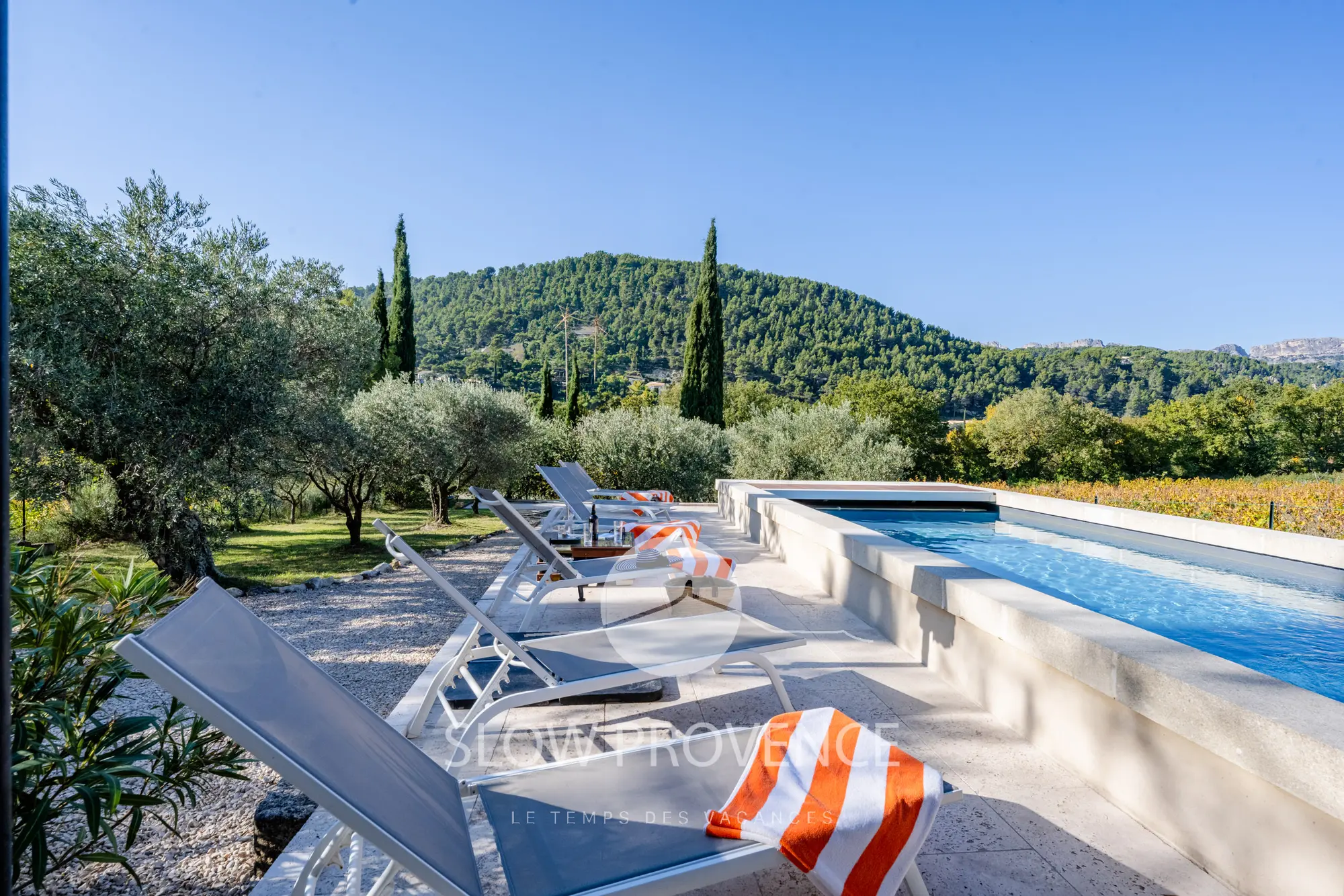 Magnificent swimming pool with views of the Dentelles de Montmirail