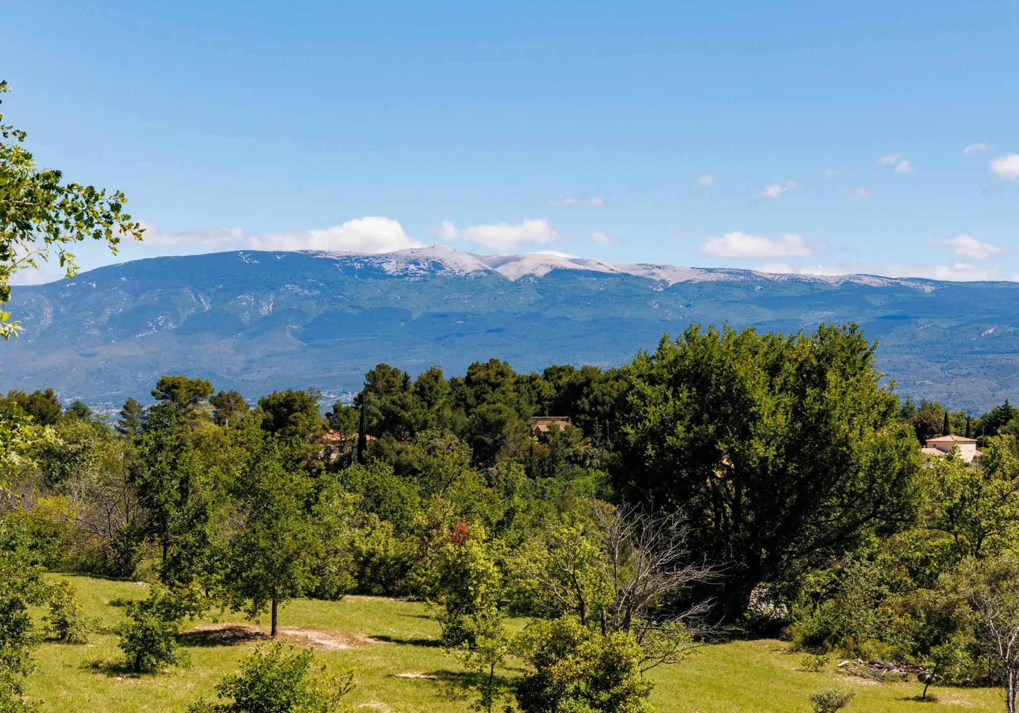 Dominant view of Mont Ventoux