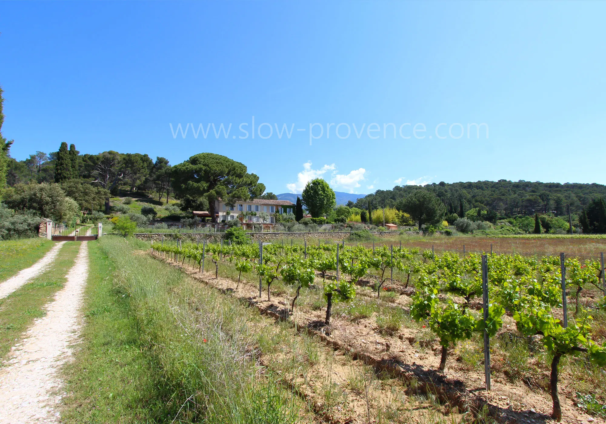 Le bonheur au bout du chemin...