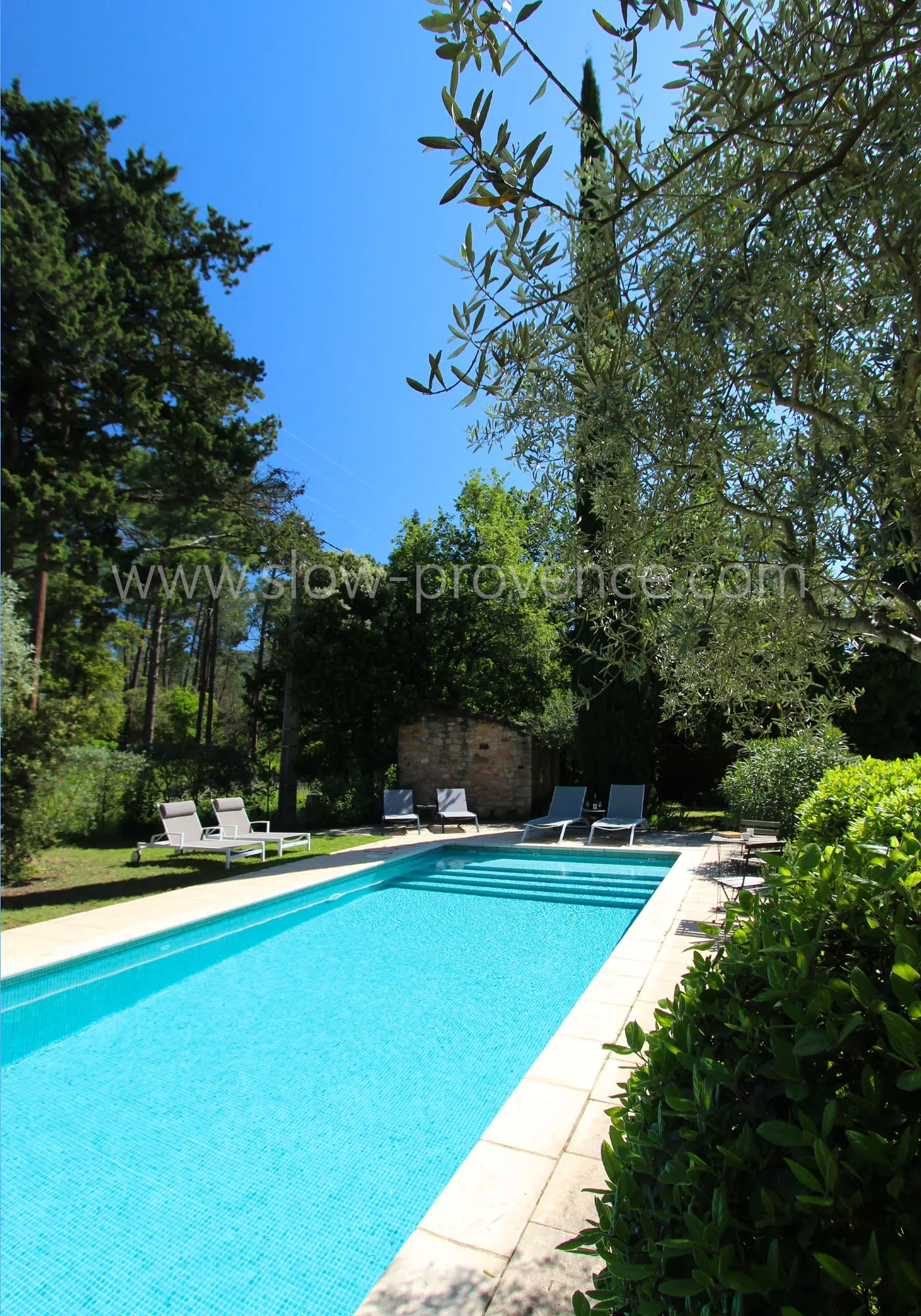 Rustig zwembadgebied