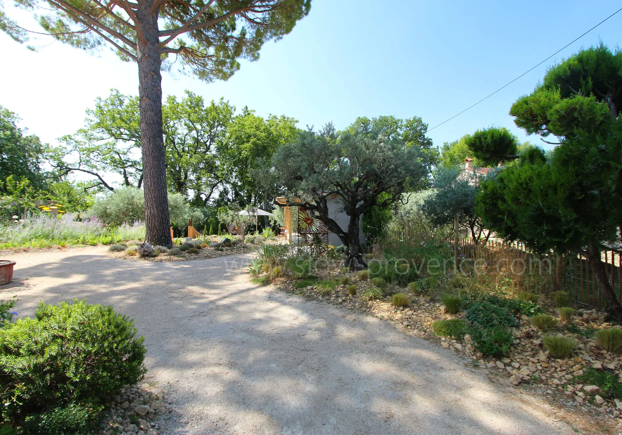 Arrival through the garden