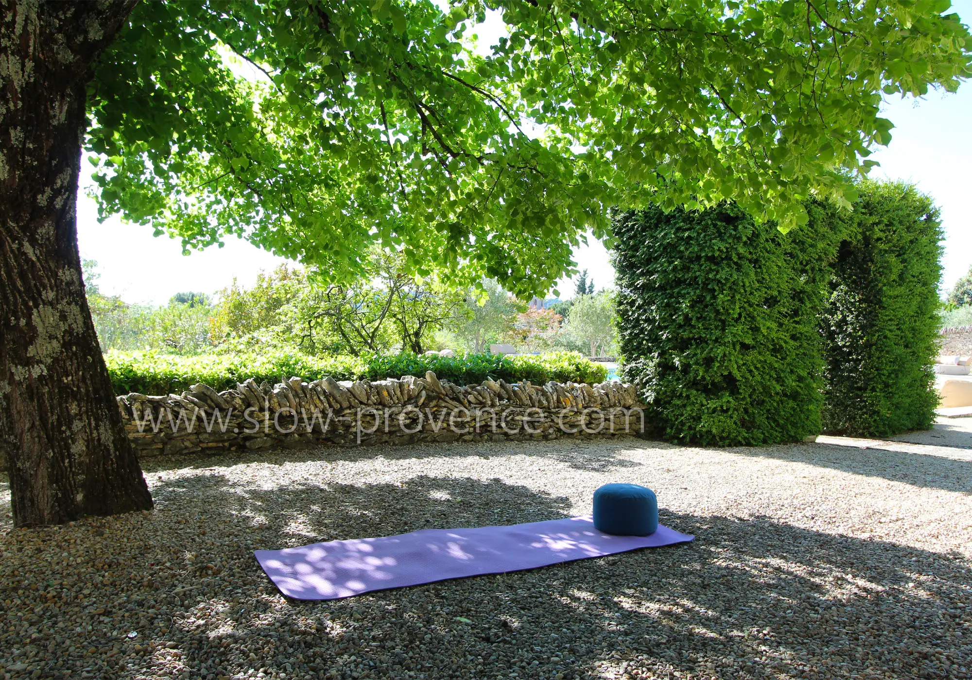 A little yoga for a gentle start to the day?