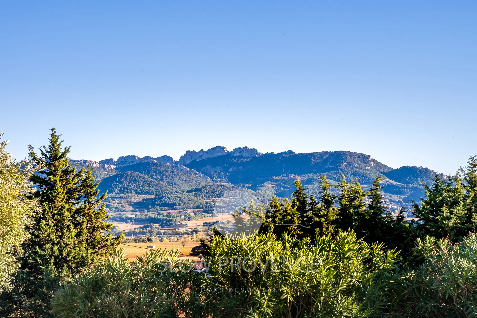 Superb view of the Dentelles de Montmirail