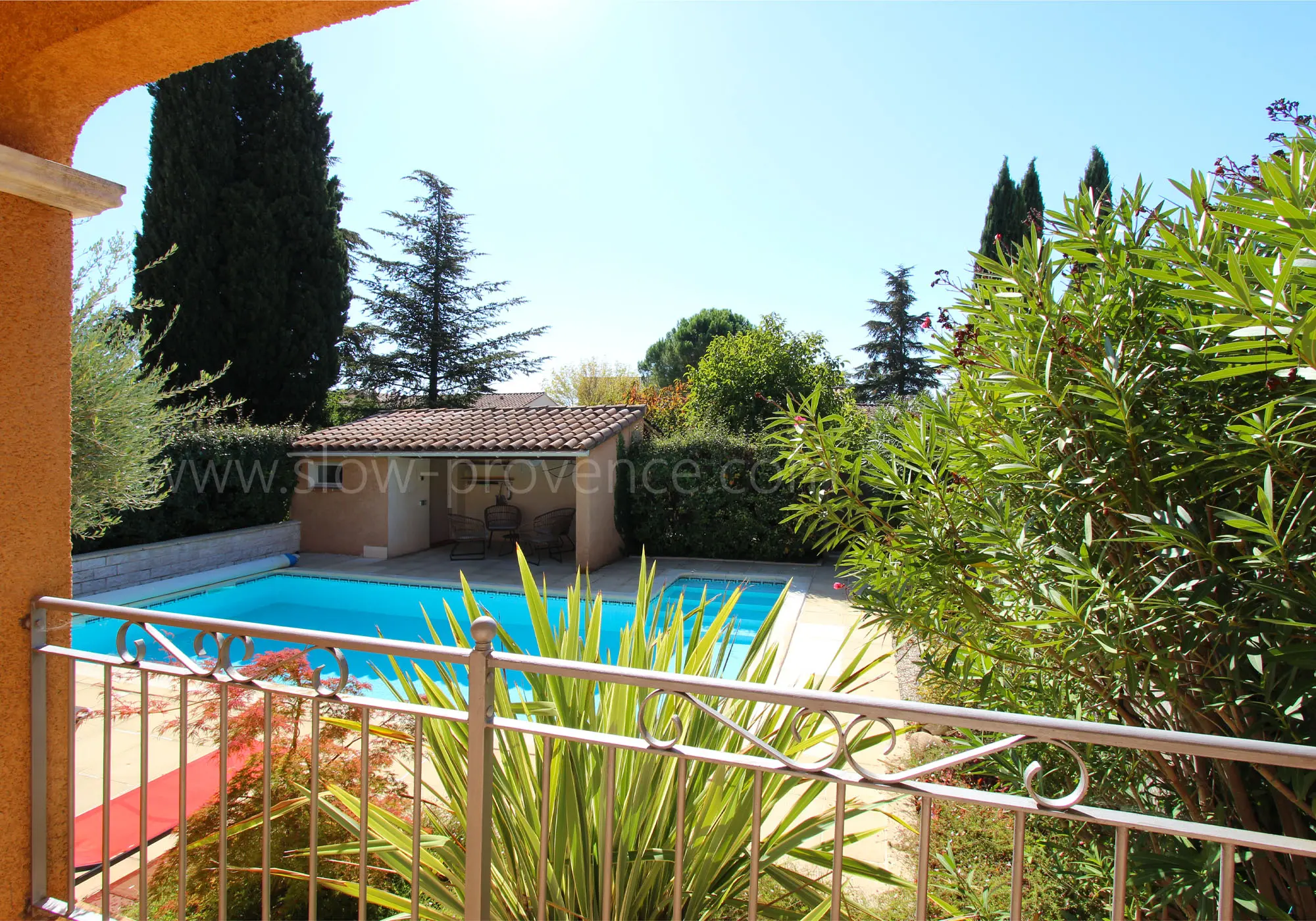 The cicadas are waiting for you