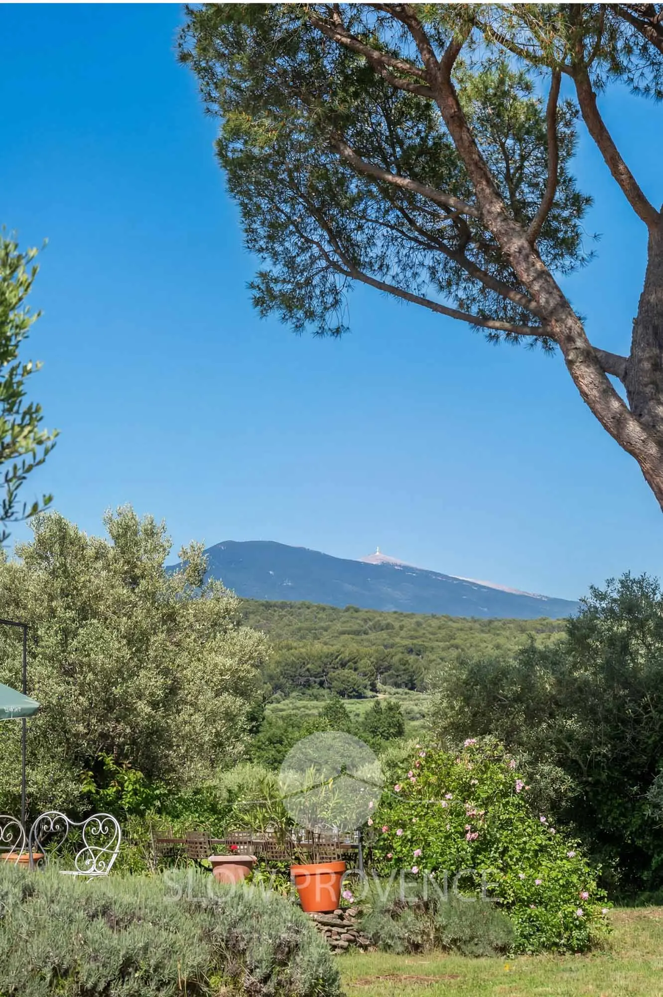 Mit dem Mont Ventoux im Hintergrund