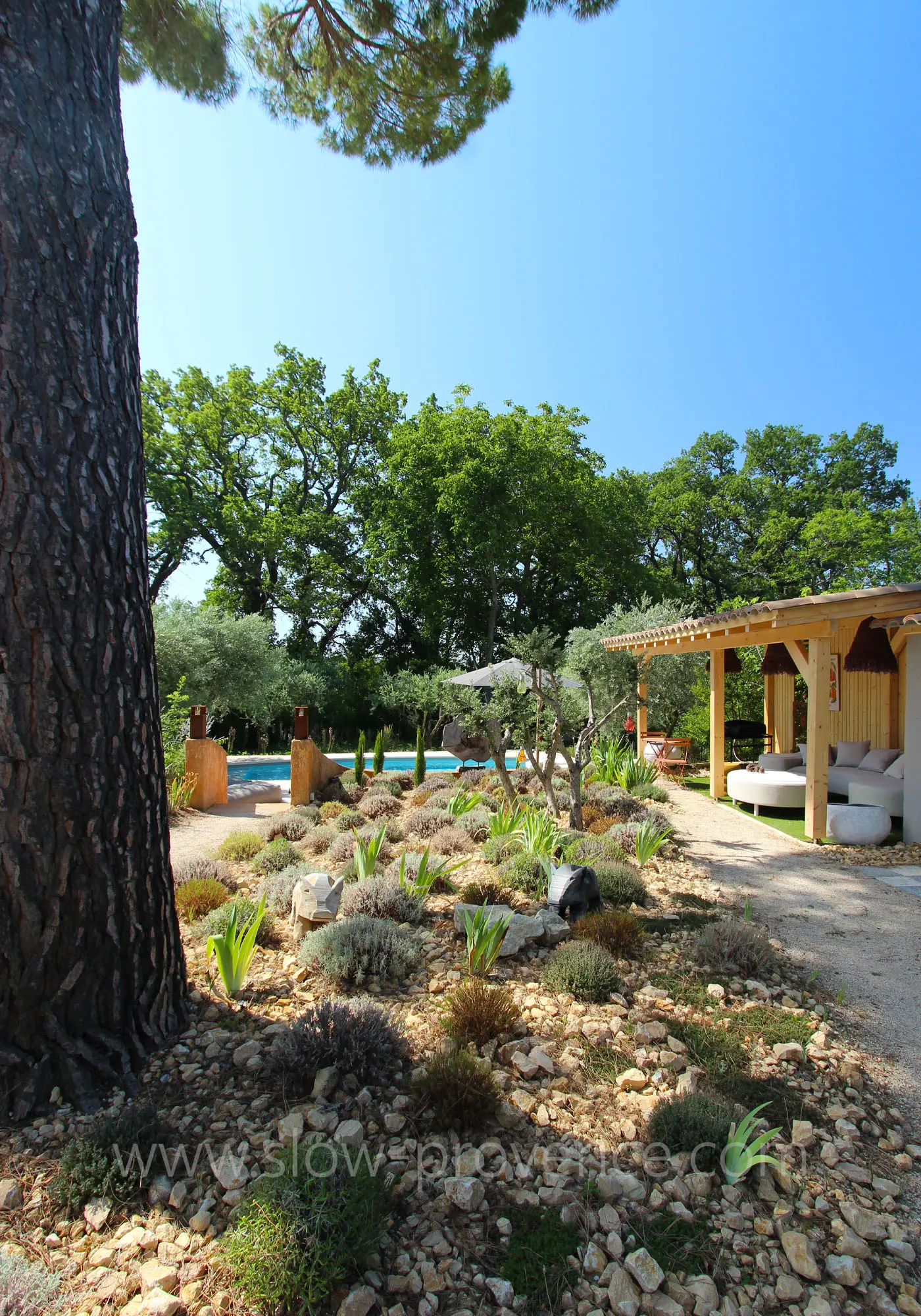 Near the swimming pool