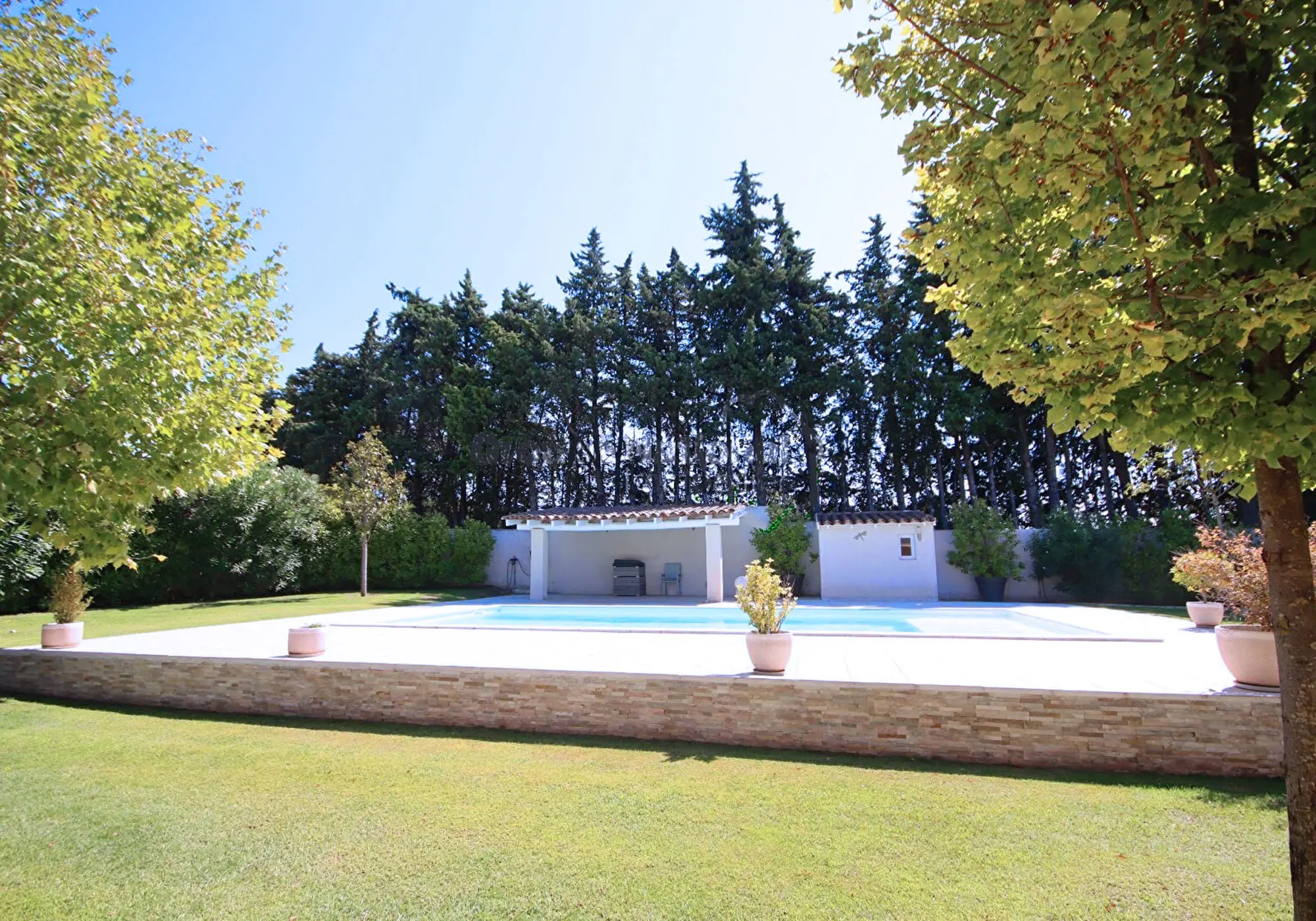 Four-legged friends welcome!