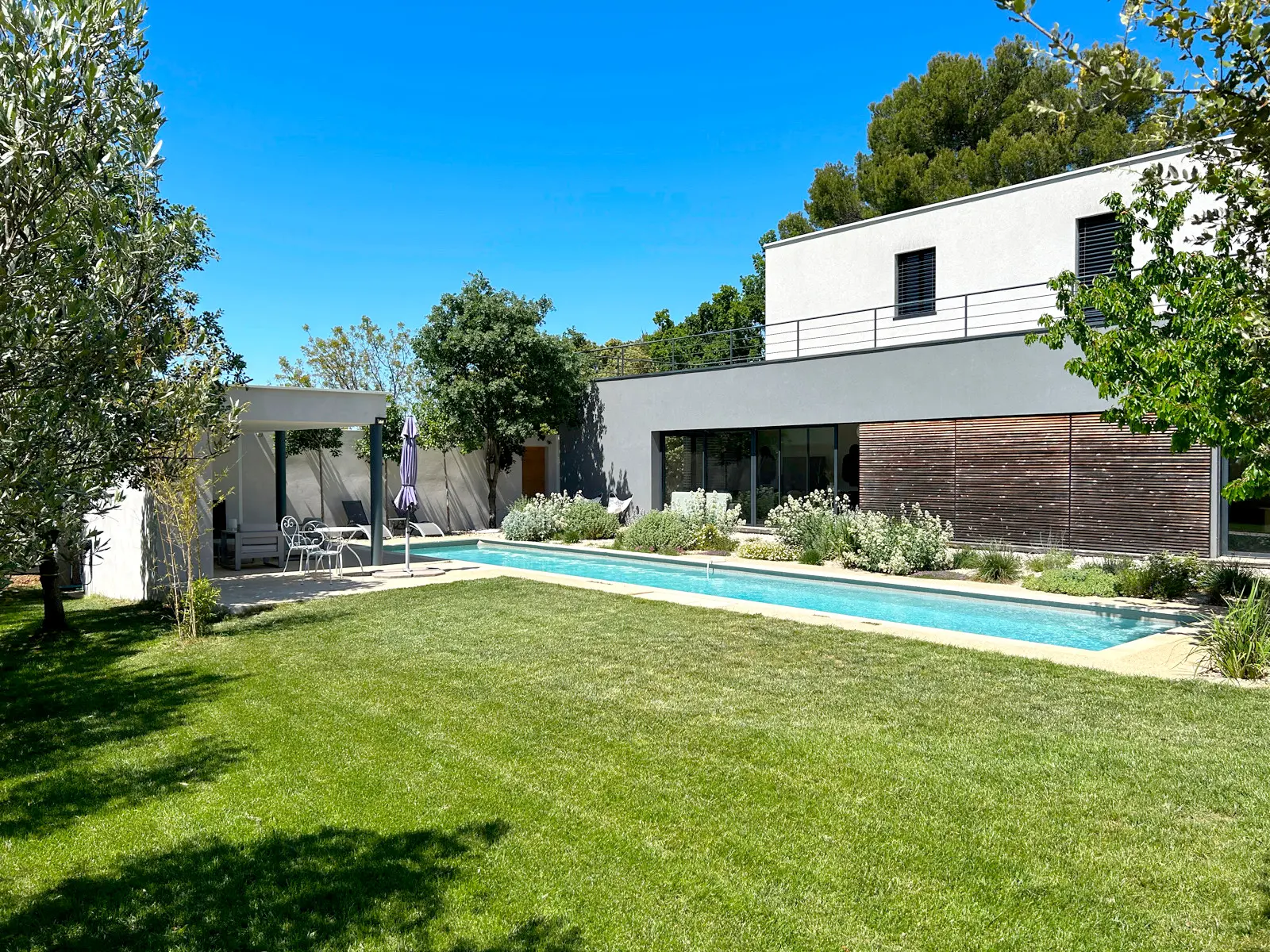 A wooded and fenced garden