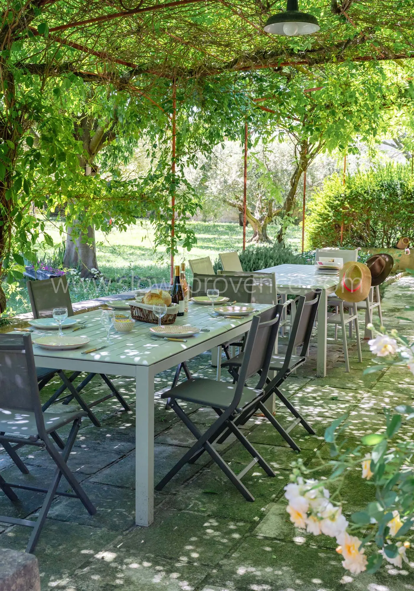 A moment of sharing under the arbour