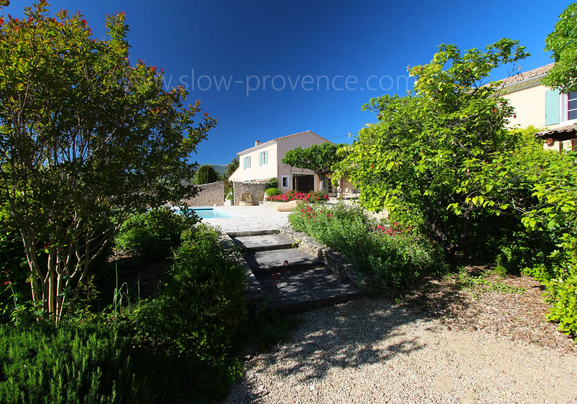 Green garden around the house