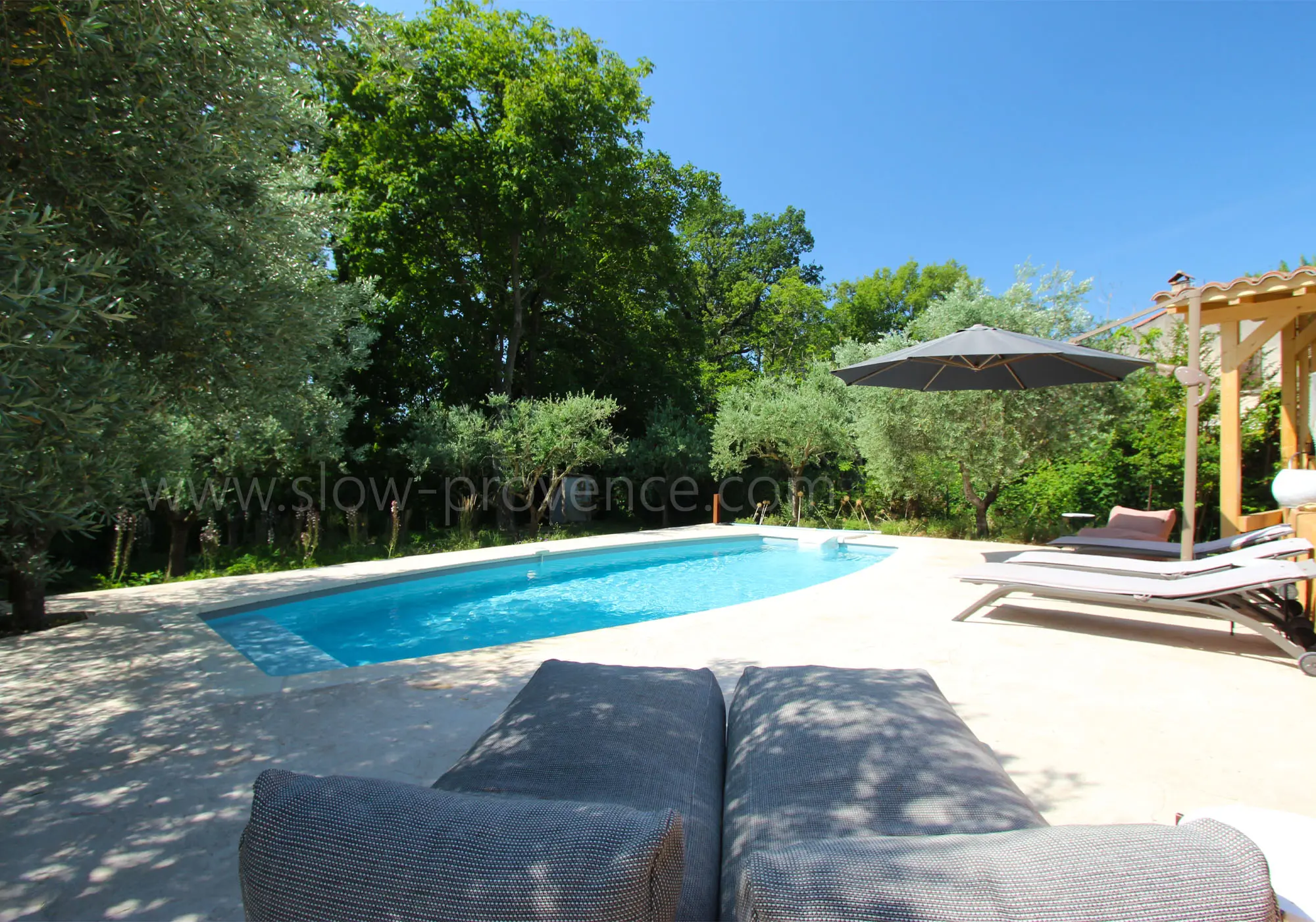 Private swimming pool surrounded by beautiful garden