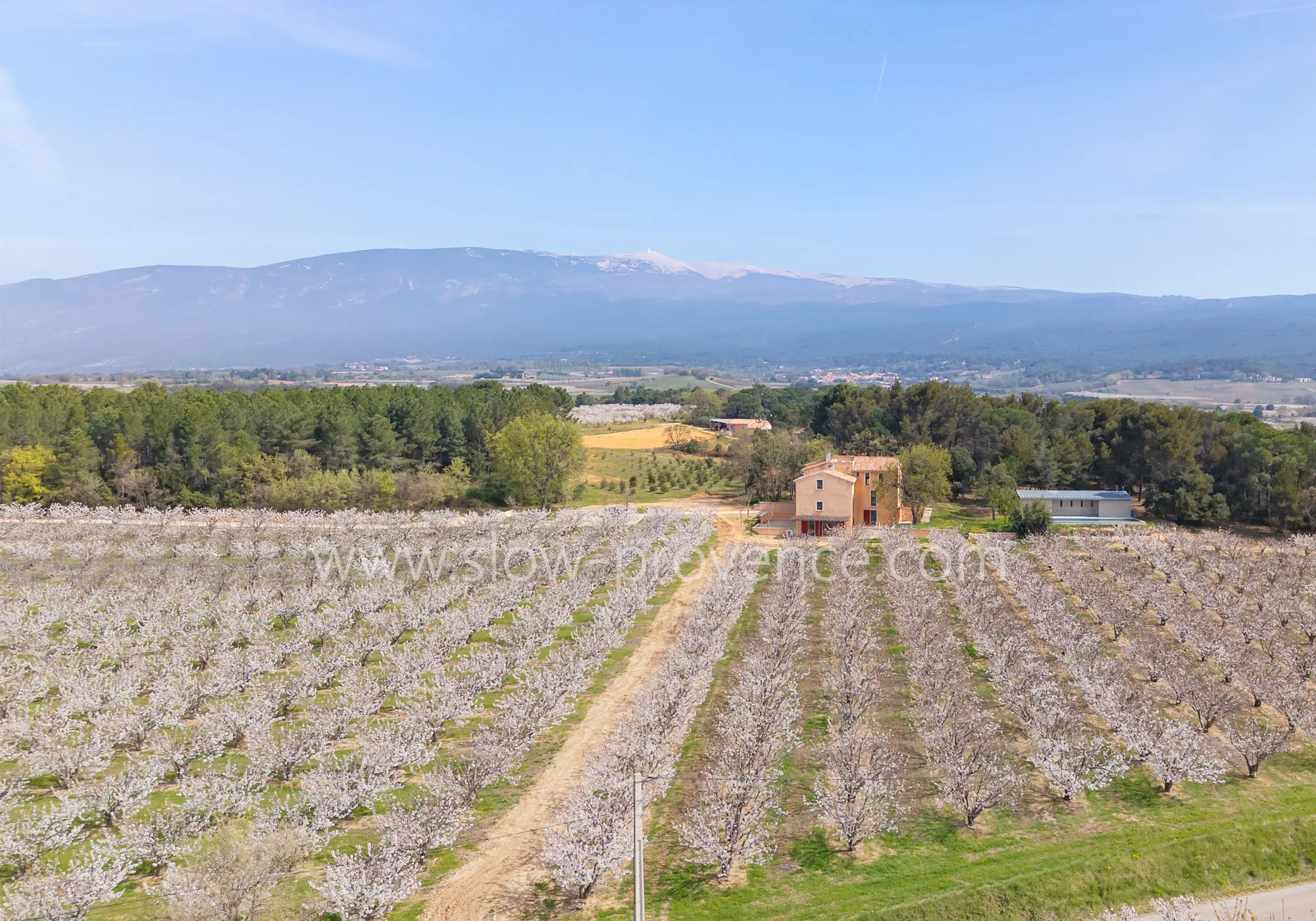 Un cadre idyllique, sans voisin, au milieu des cerisiers