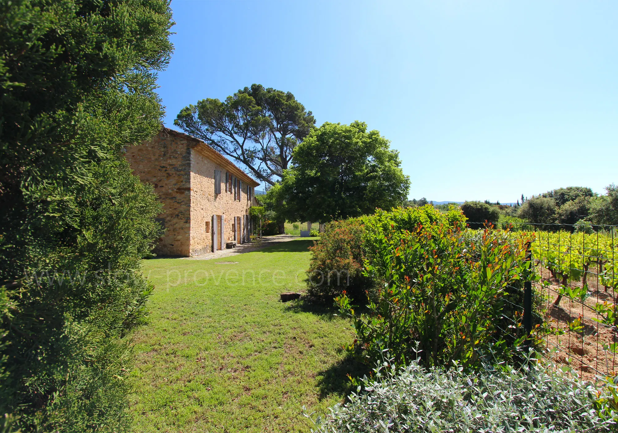 Mas typique en Provence