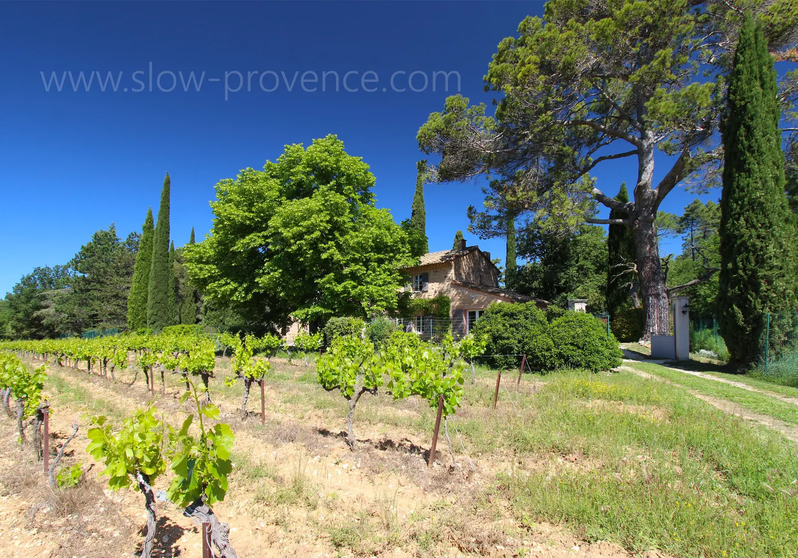 Mas de Charlotte, charmante boerderij omgeven door wijngaarden nabij het dorp Bedoin, Mont Ventoux