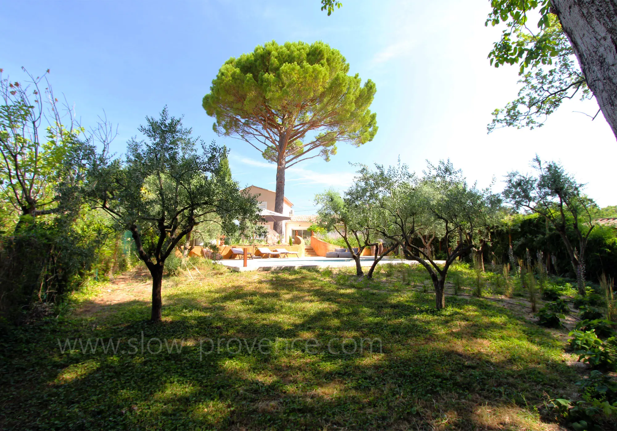 Large provencal garden