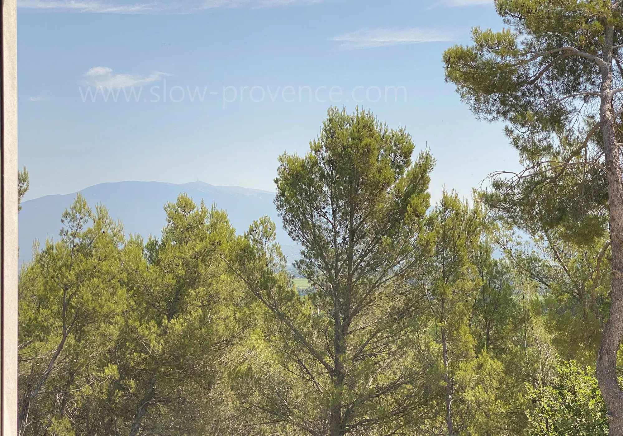 Le Mont-Ventoux en toile de fond