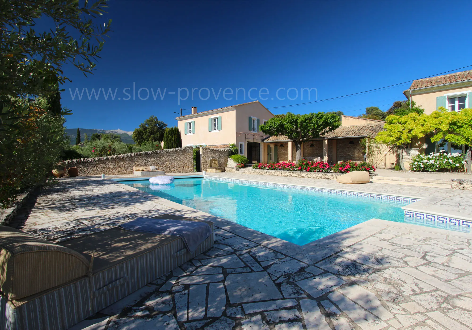 With Mont Ventoux in the background