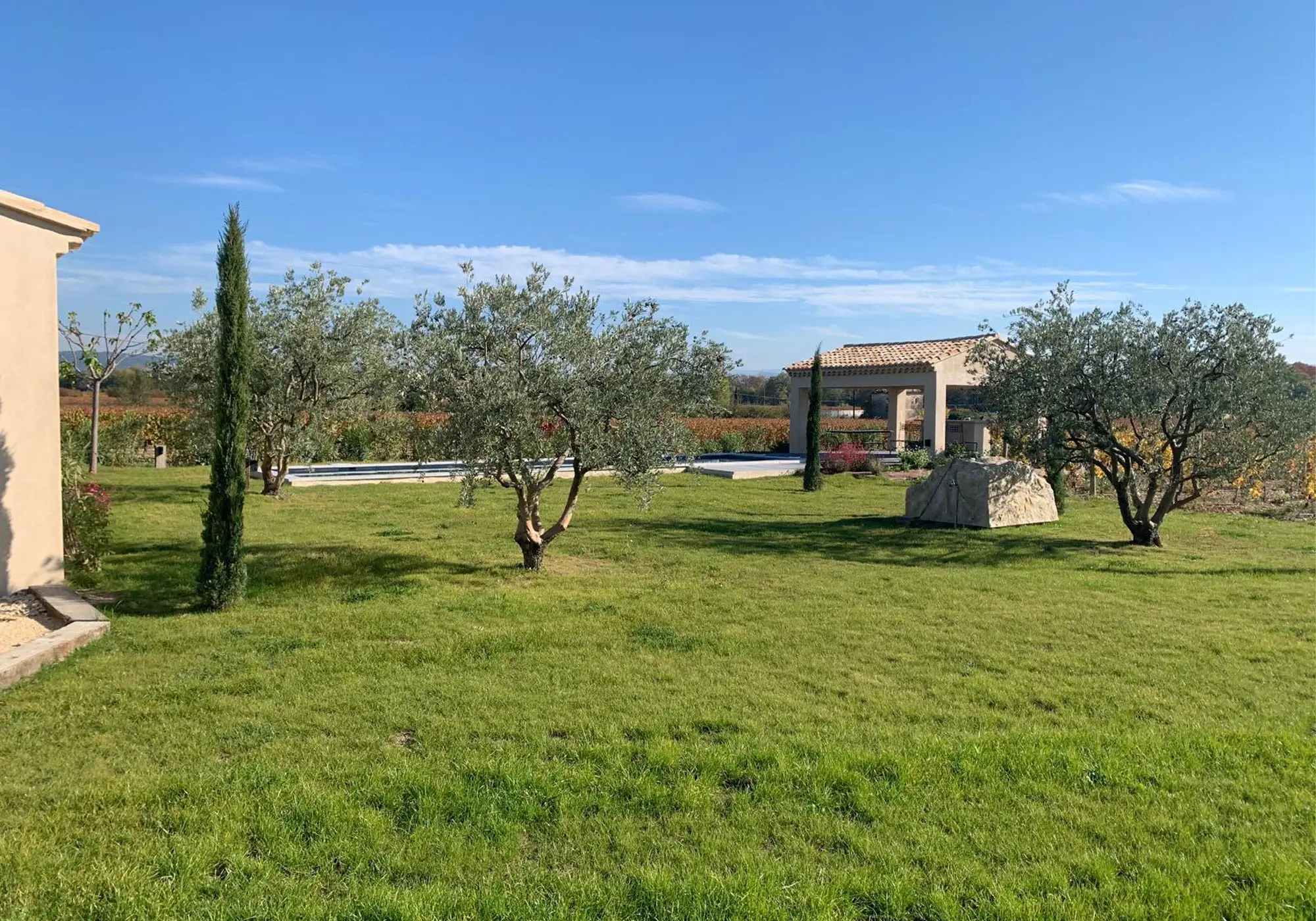 Large Mediterranean garden planted with olive trees