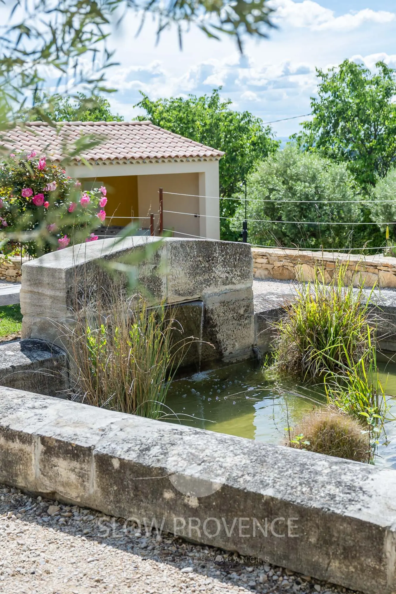 Le bassin et ses poissons rouges