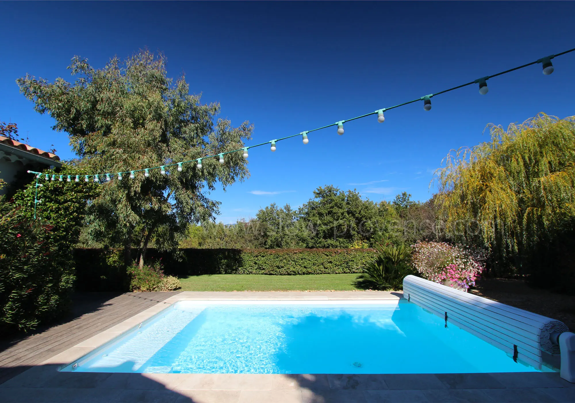 Bienvenue à La Canopée