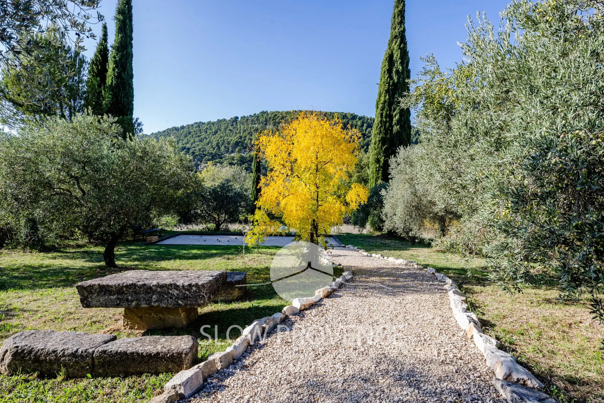 Fully enclosed and wooded garden