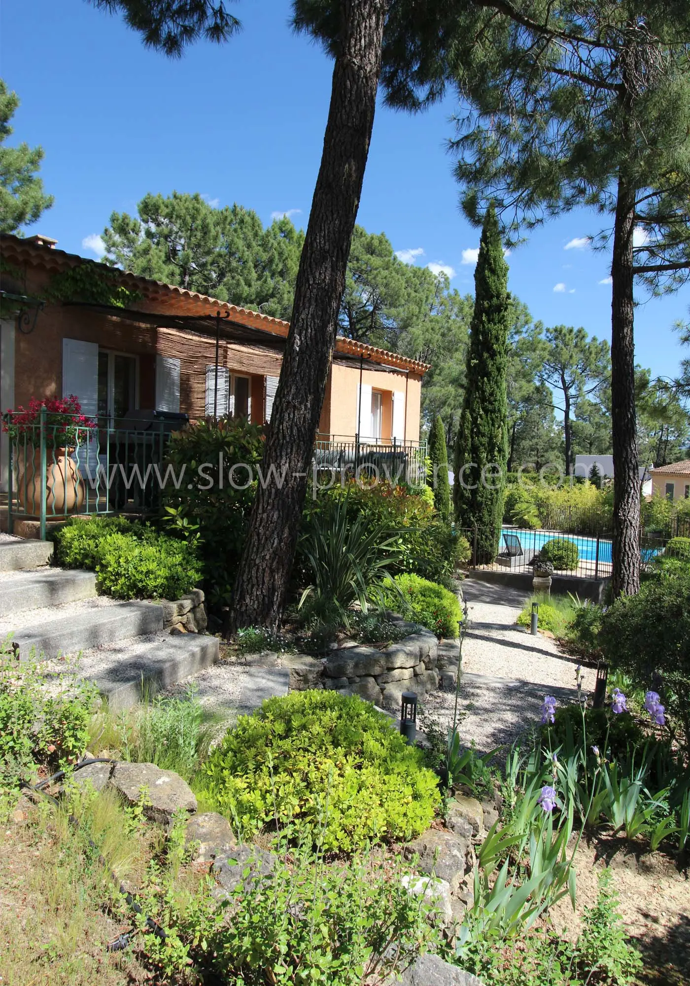 Bewaldeter und schattiger Garten