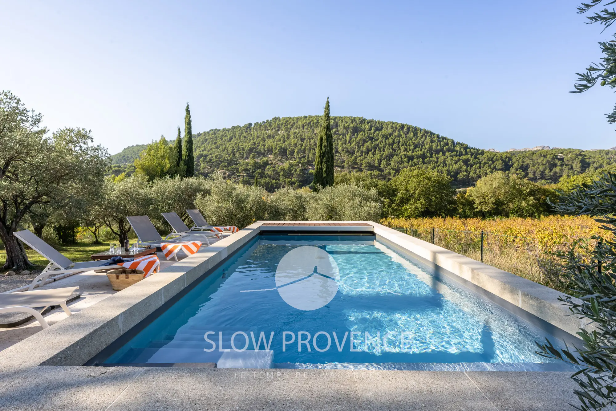 Beautiful private heated pool with a view