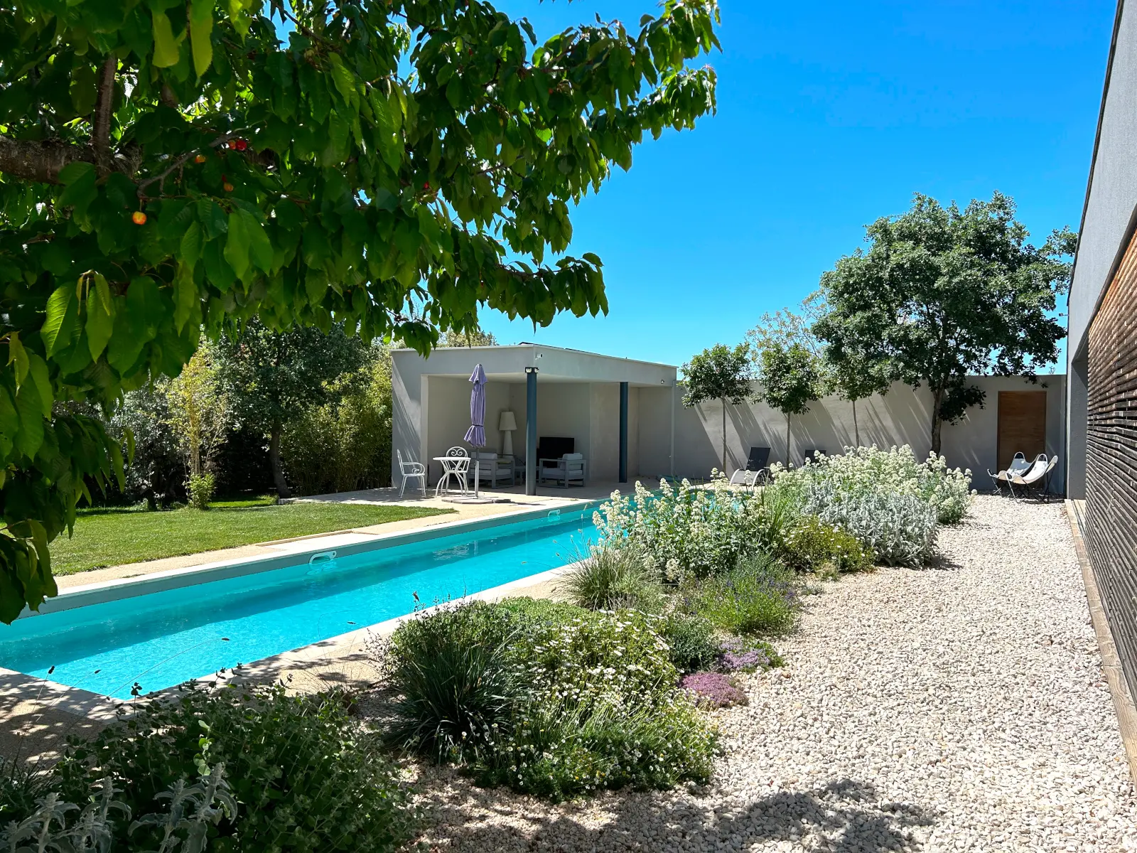 A lovely Provençal garden