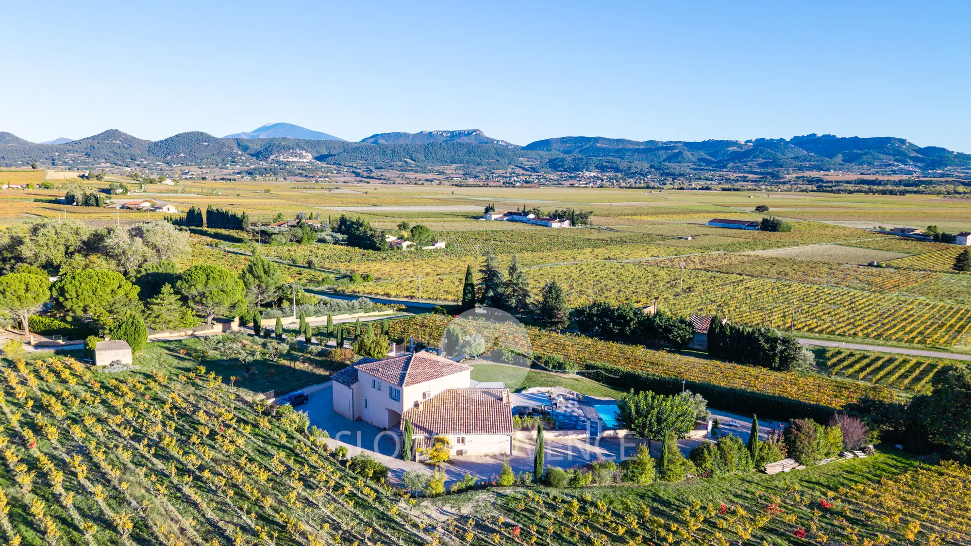 Surrounded by vineyards