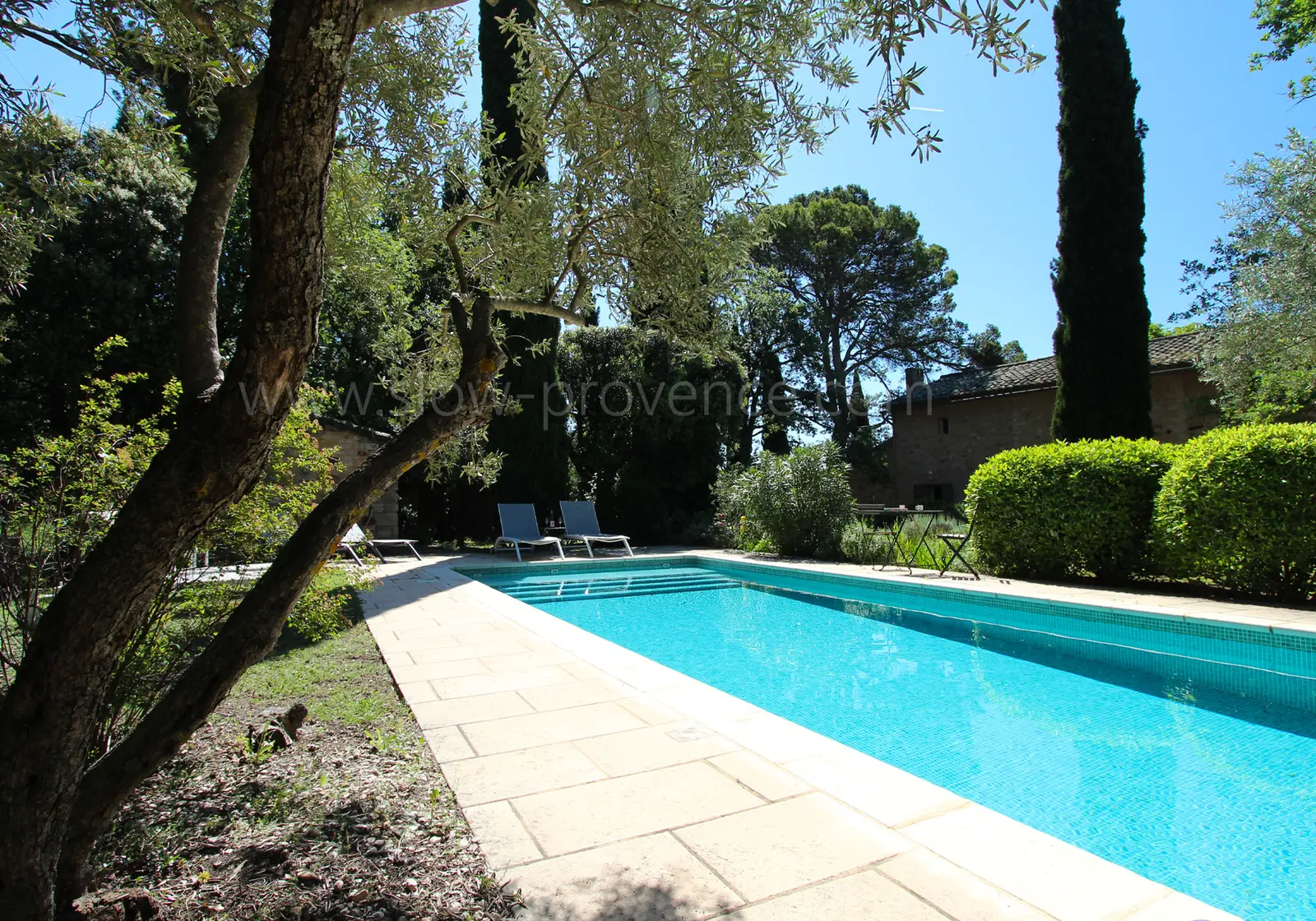 Pool secured by a cover