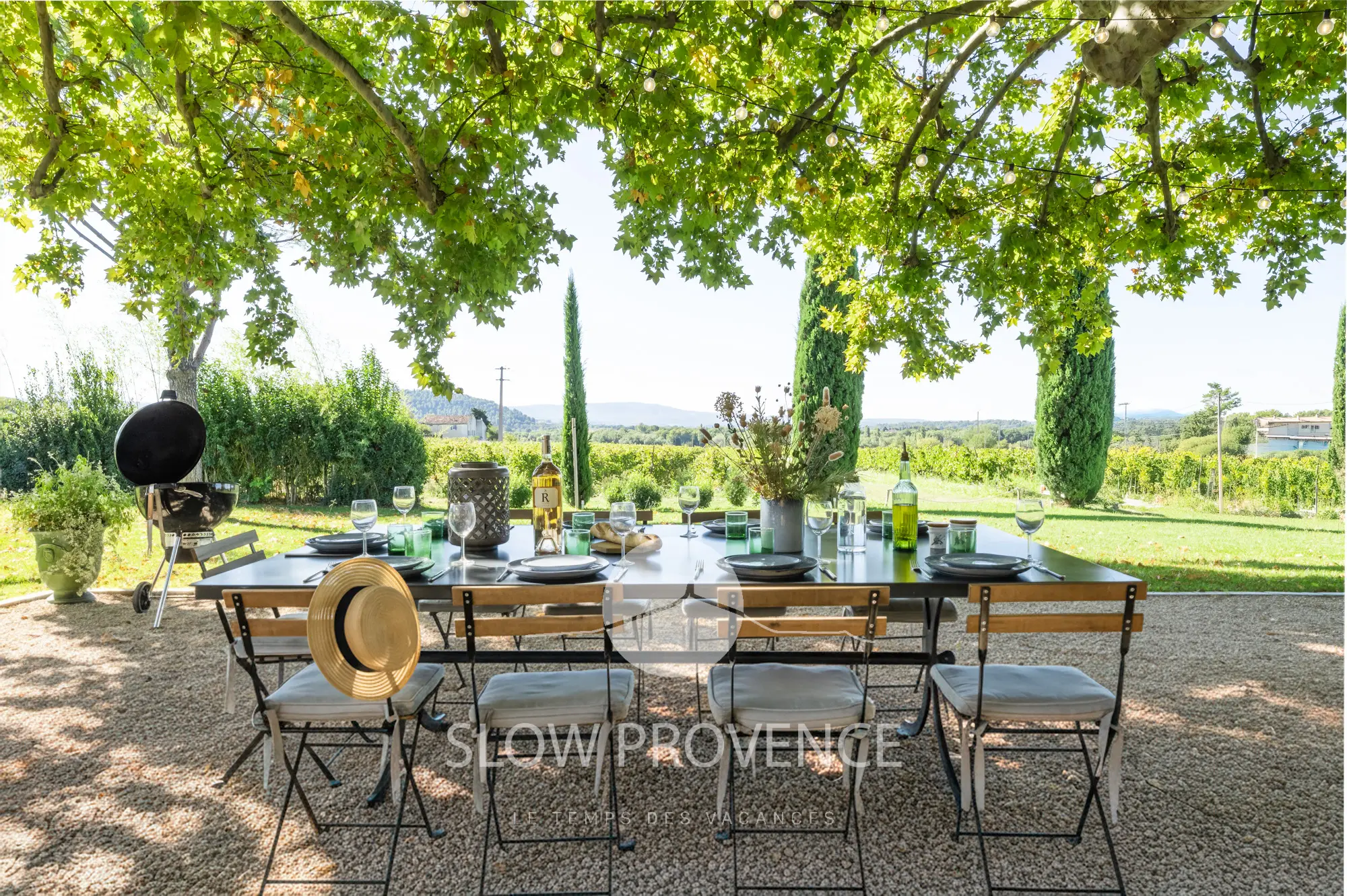 View of the vineyards