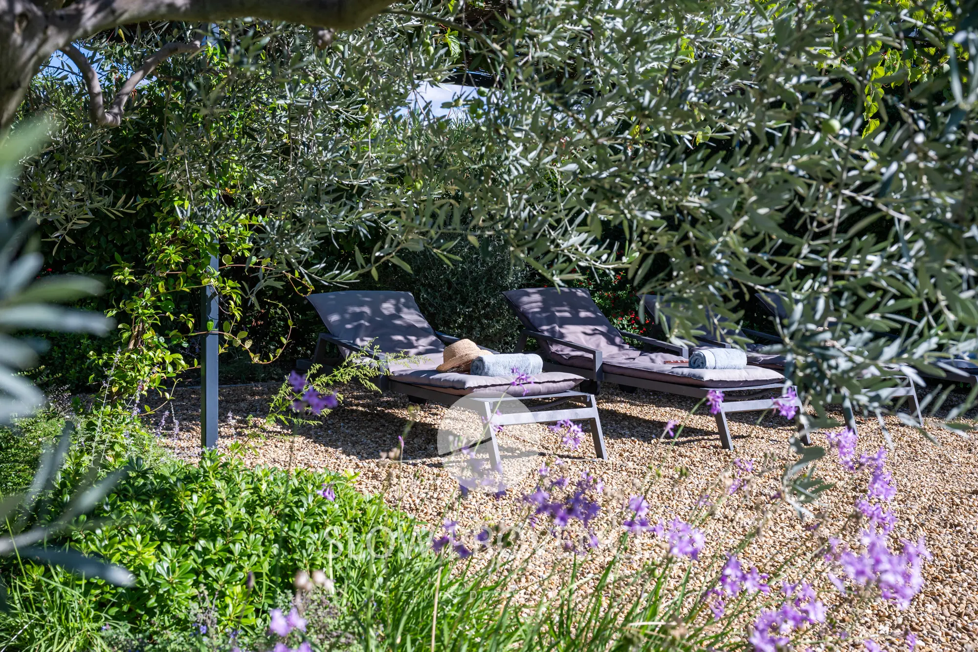 A moment out of time