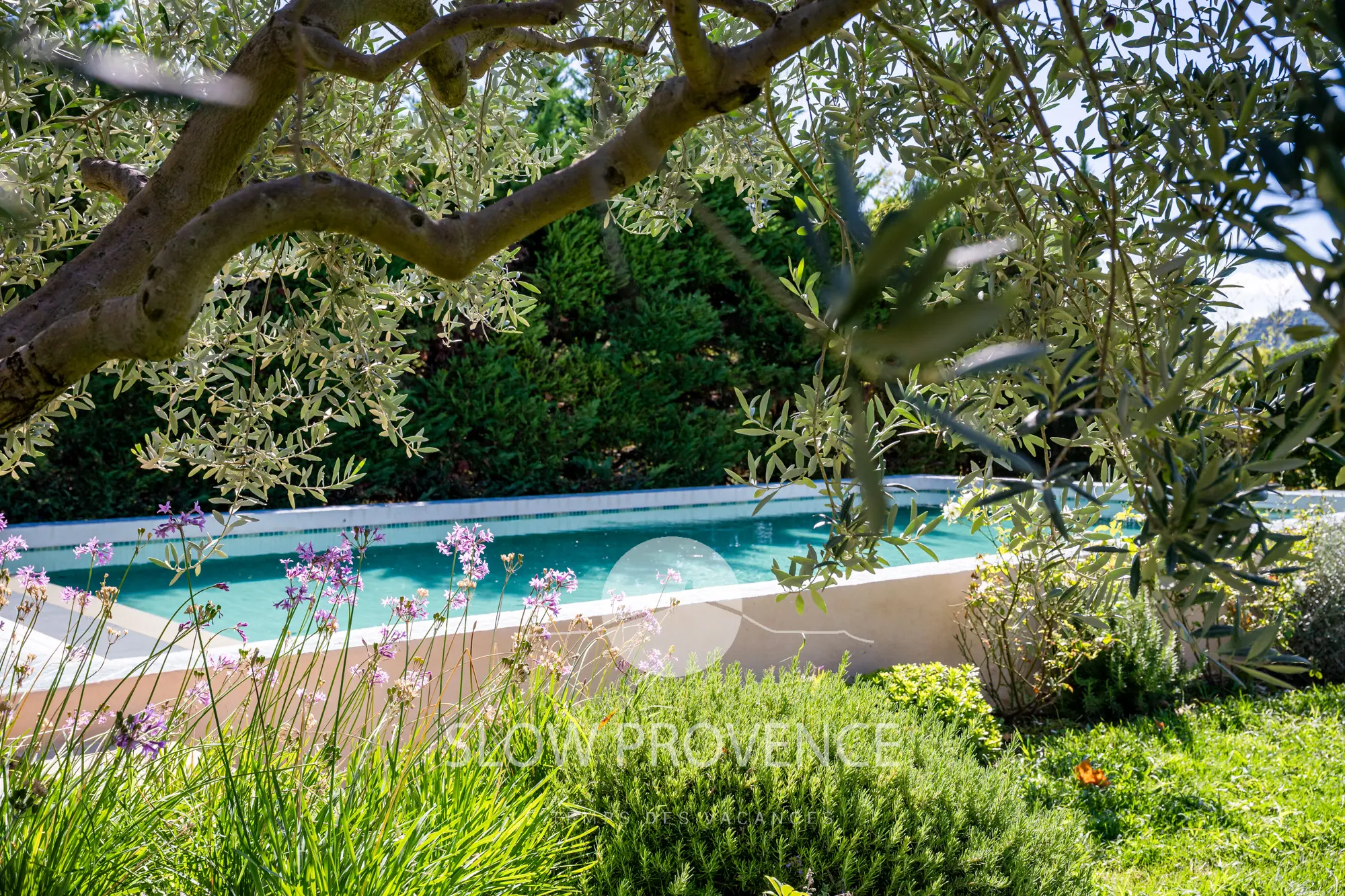 A touch of Provence in every corner of the garden