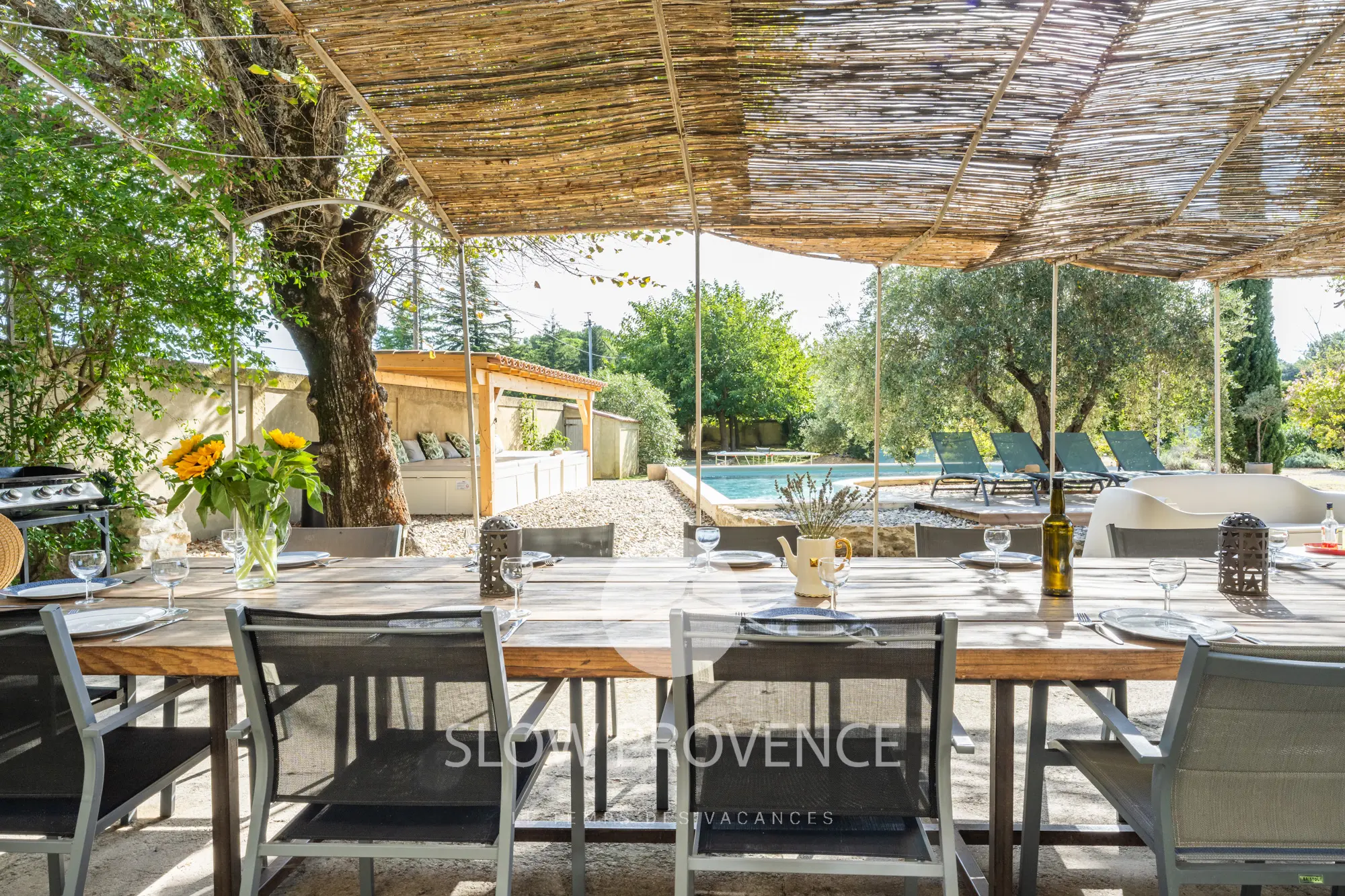 While enjoying the swimming pool in the background