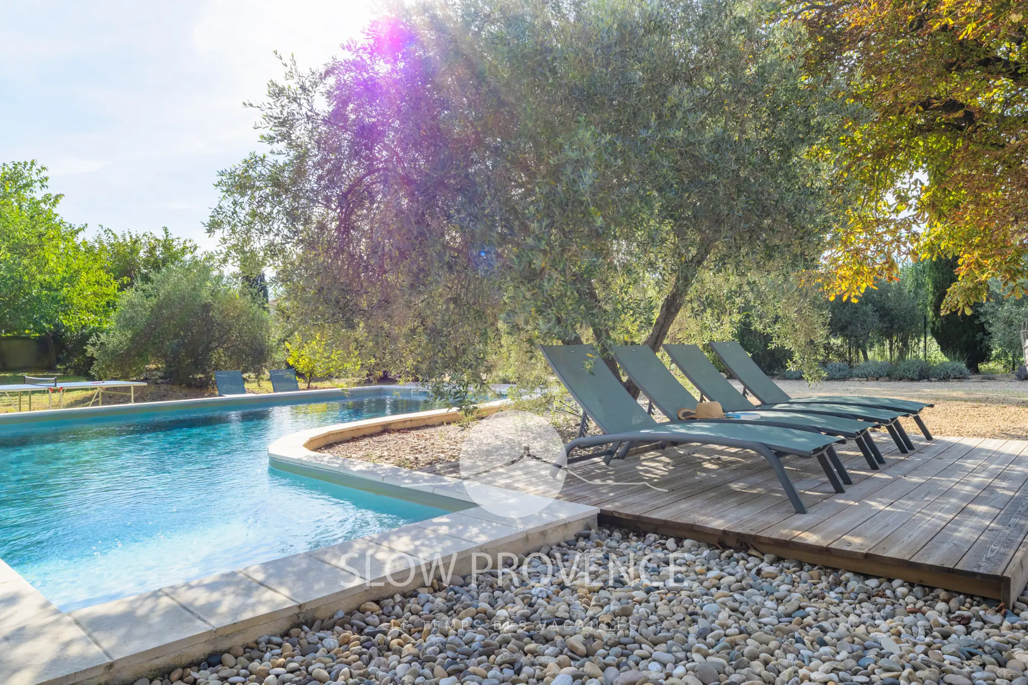 Let the holidays begin!