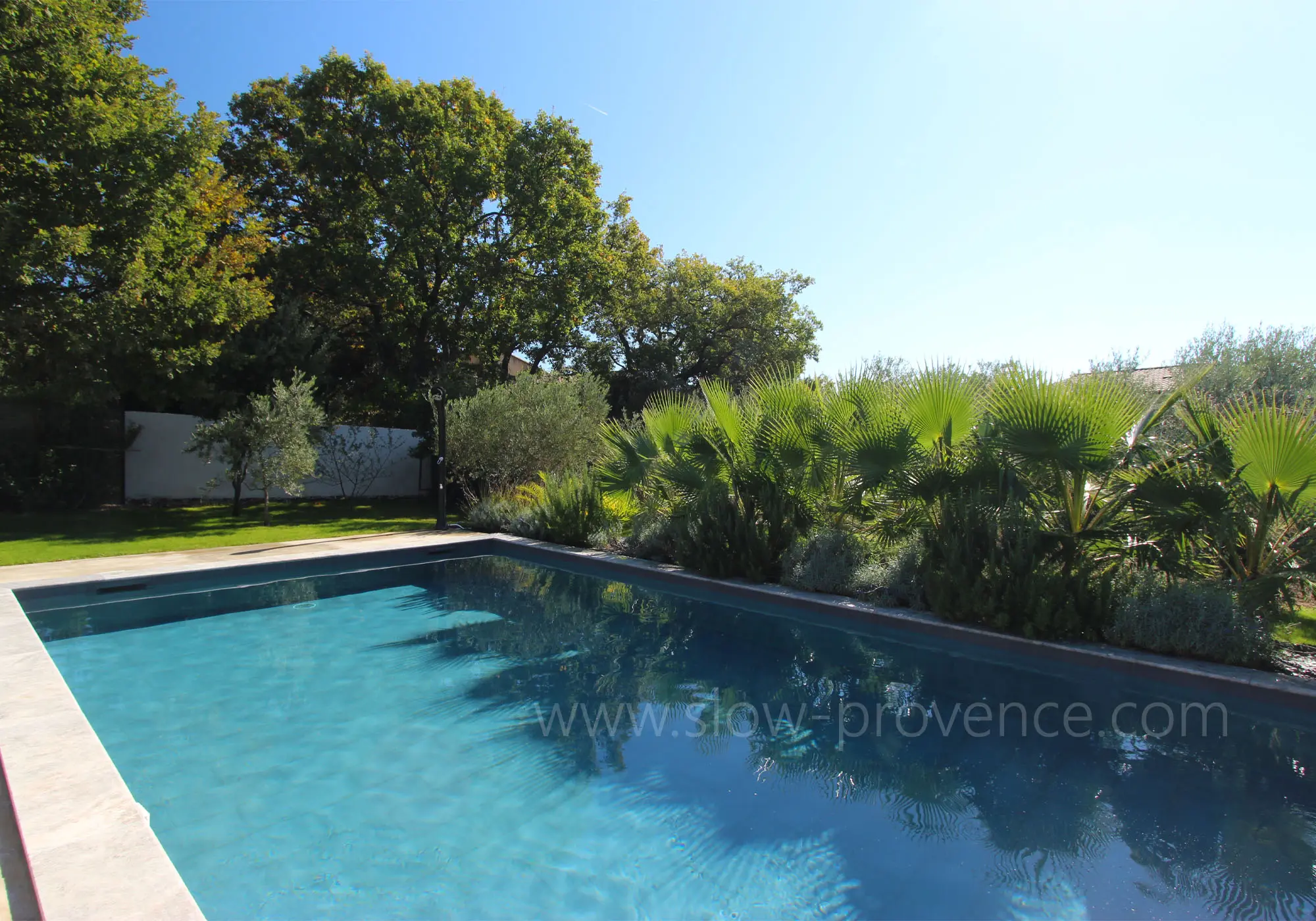Grande piscine piscine privée entourée de verdure