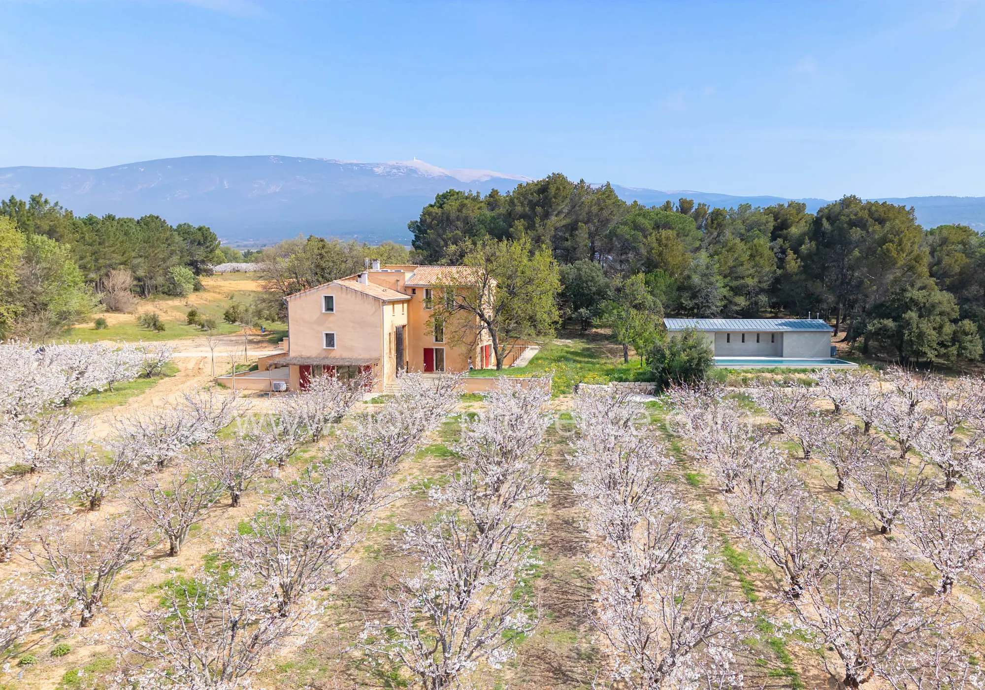 Fantastisches Landhaus am Fuße des Mont Ventoux