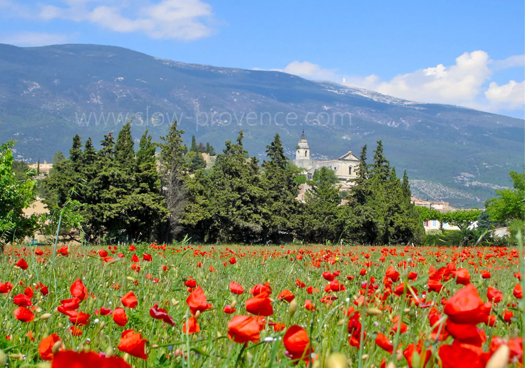Zonnige vakantie aan de voet van de Mont Ventoux