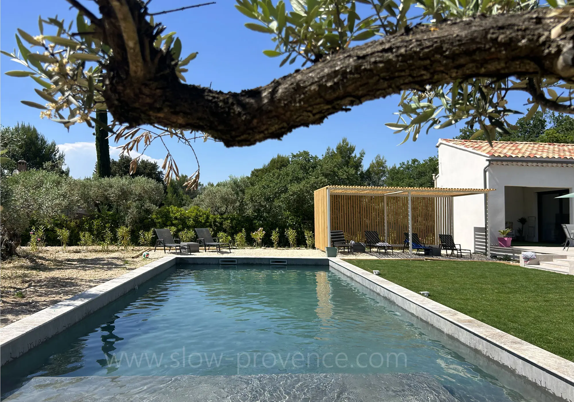 Le soleil, la piscine et les cigales
