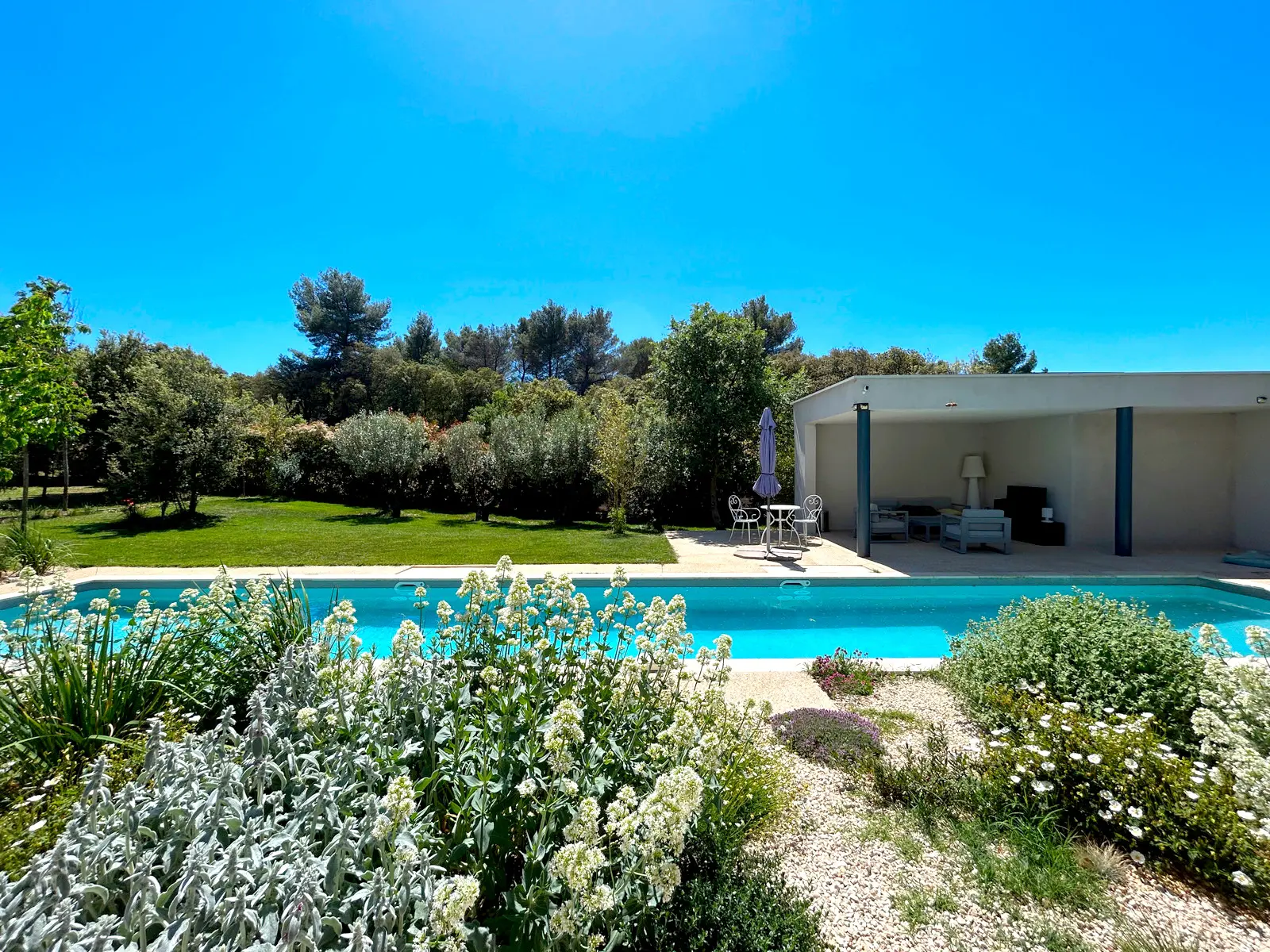 View of the garden and pool from the terrace