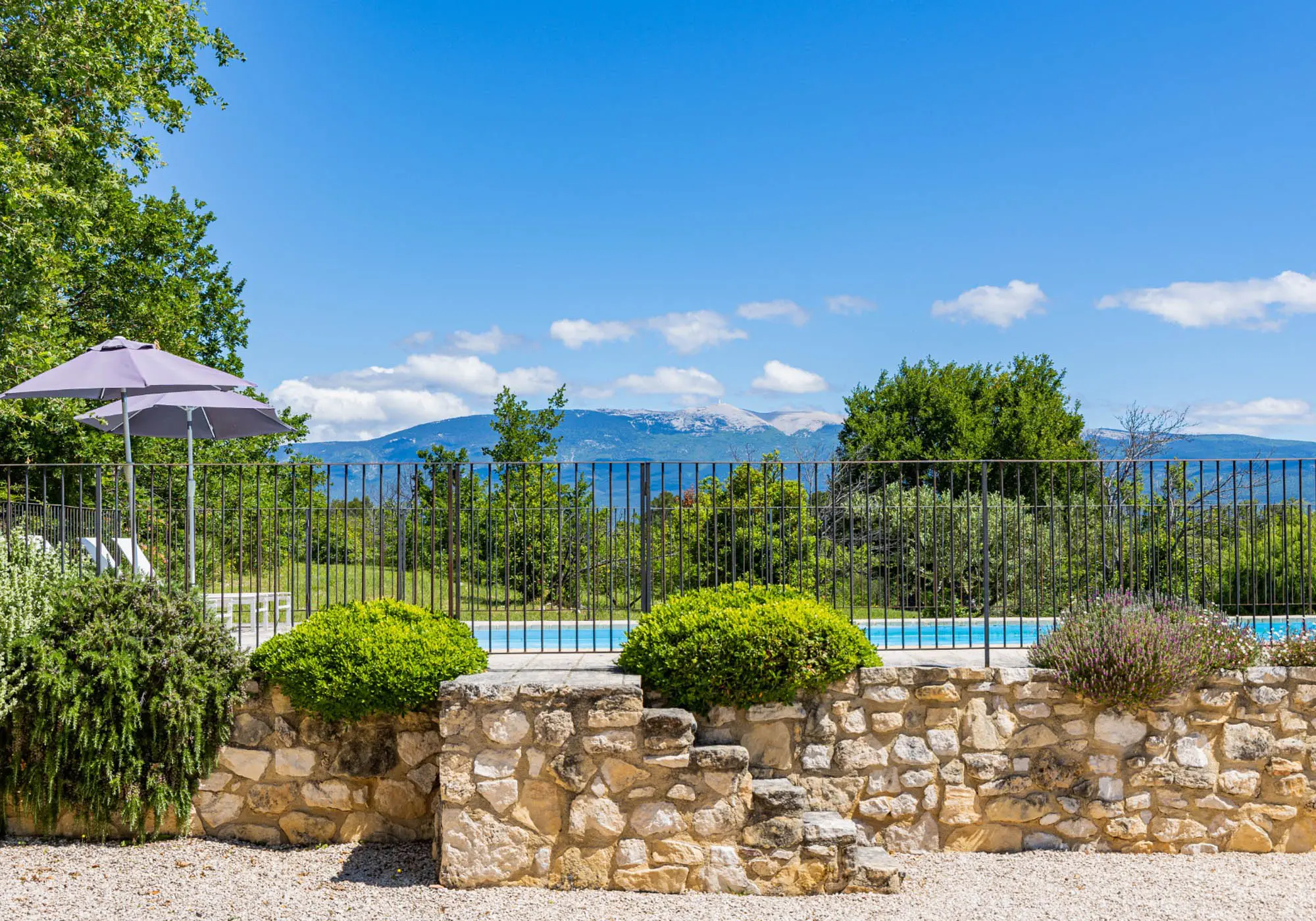 Swimming pool with a view of Mont Ventoux