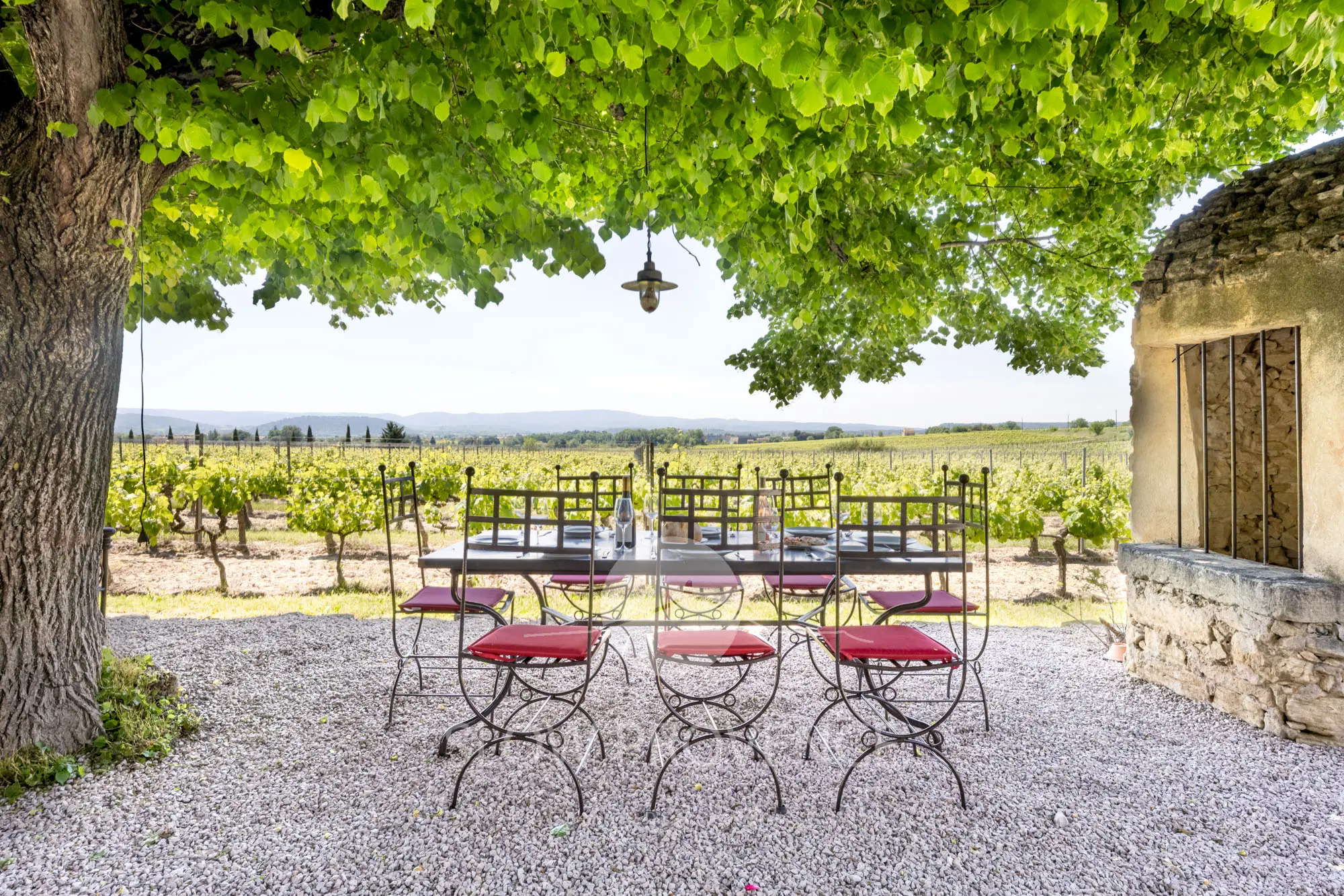 Une situation paisible au cœur d'un vignoble en Provence