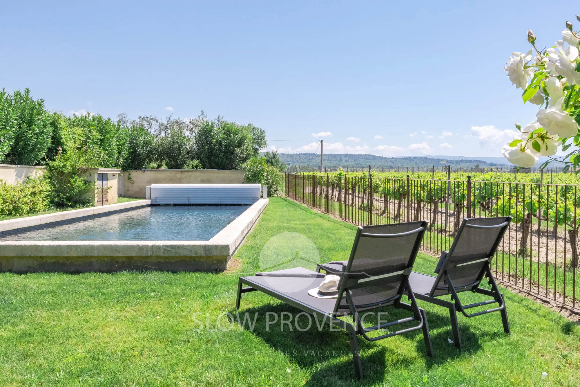 Les cigales et le soleil...