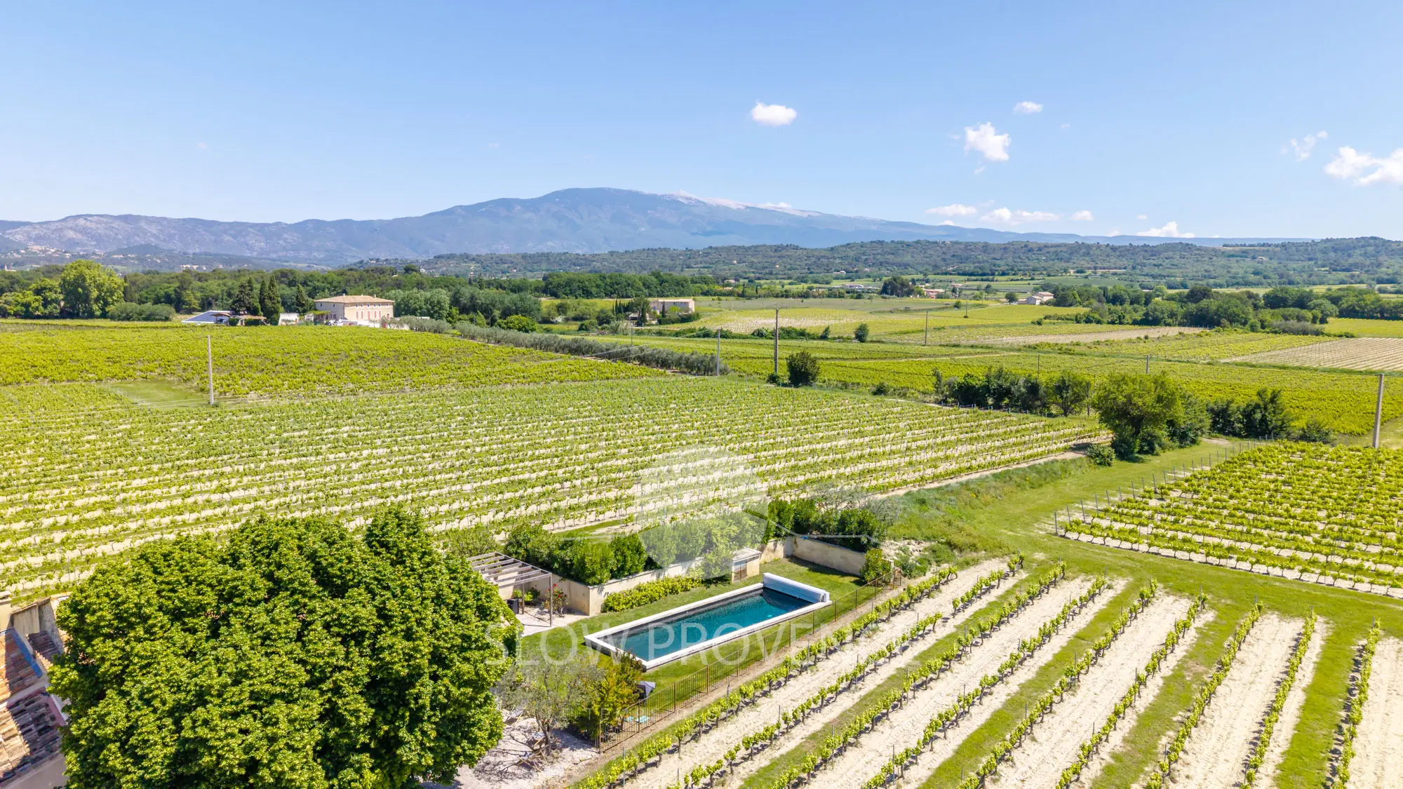 Une situation exceptionnelle en Provence