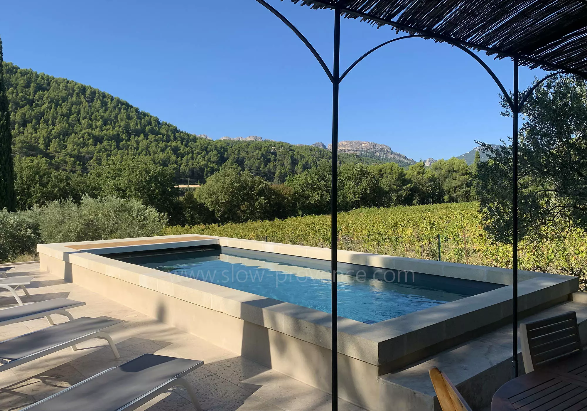 The surrounding vineyards and mountain views